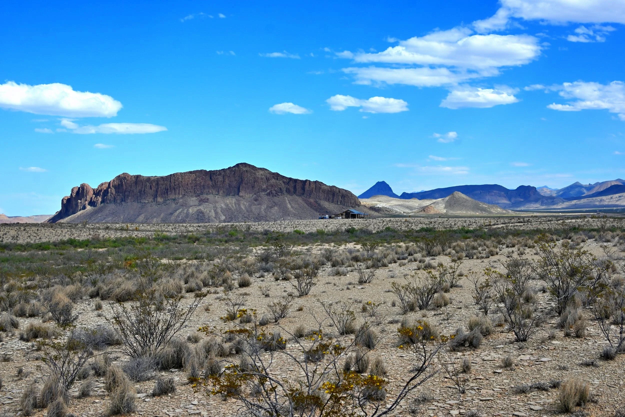 DSC_5245.jpg