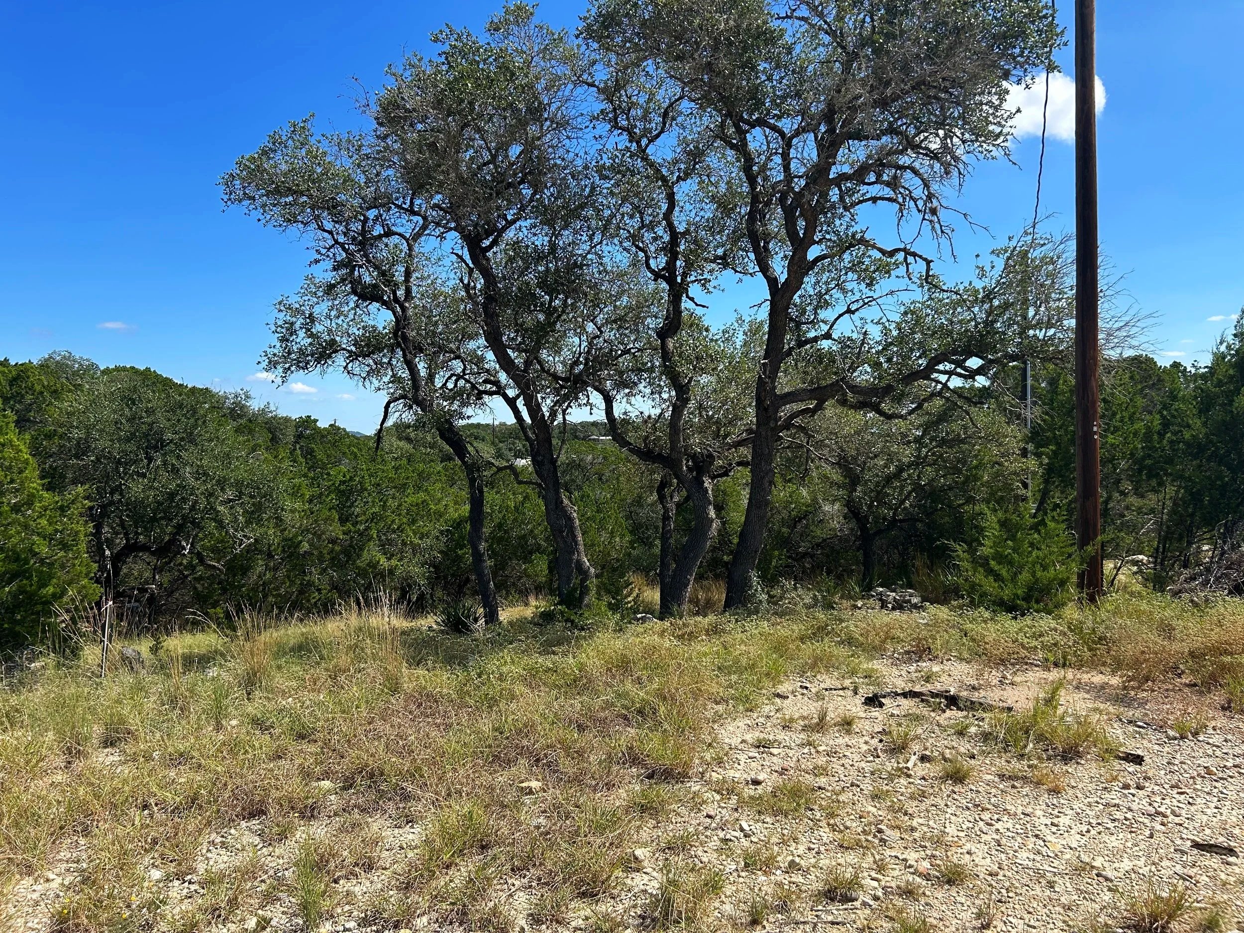 AtascosaFrontClose.jpg