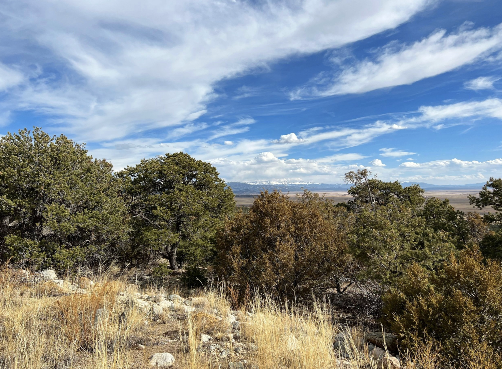 Screenshot 2025-05-20 at 10.15.14 AM.png