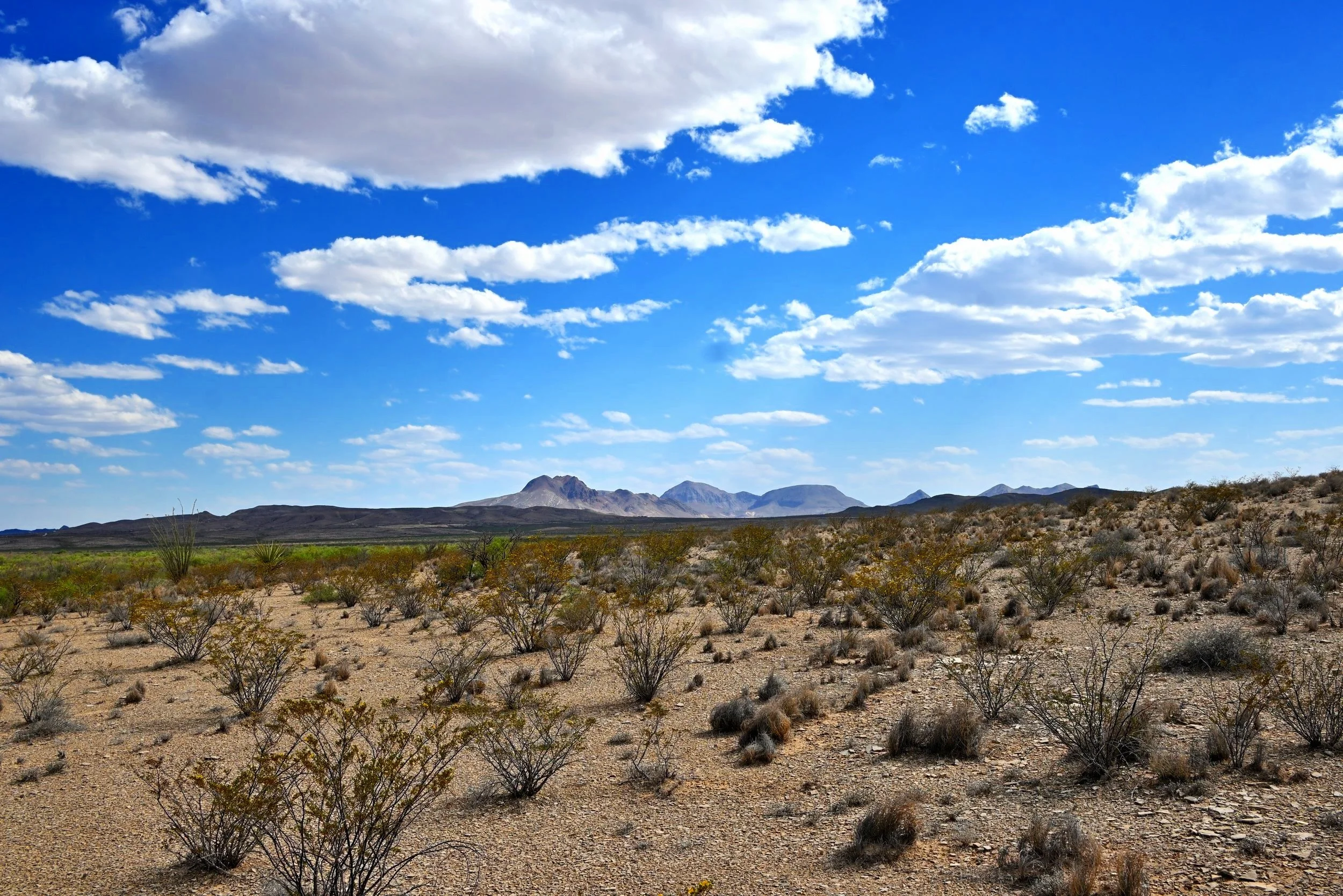 DSC_5264.jpg