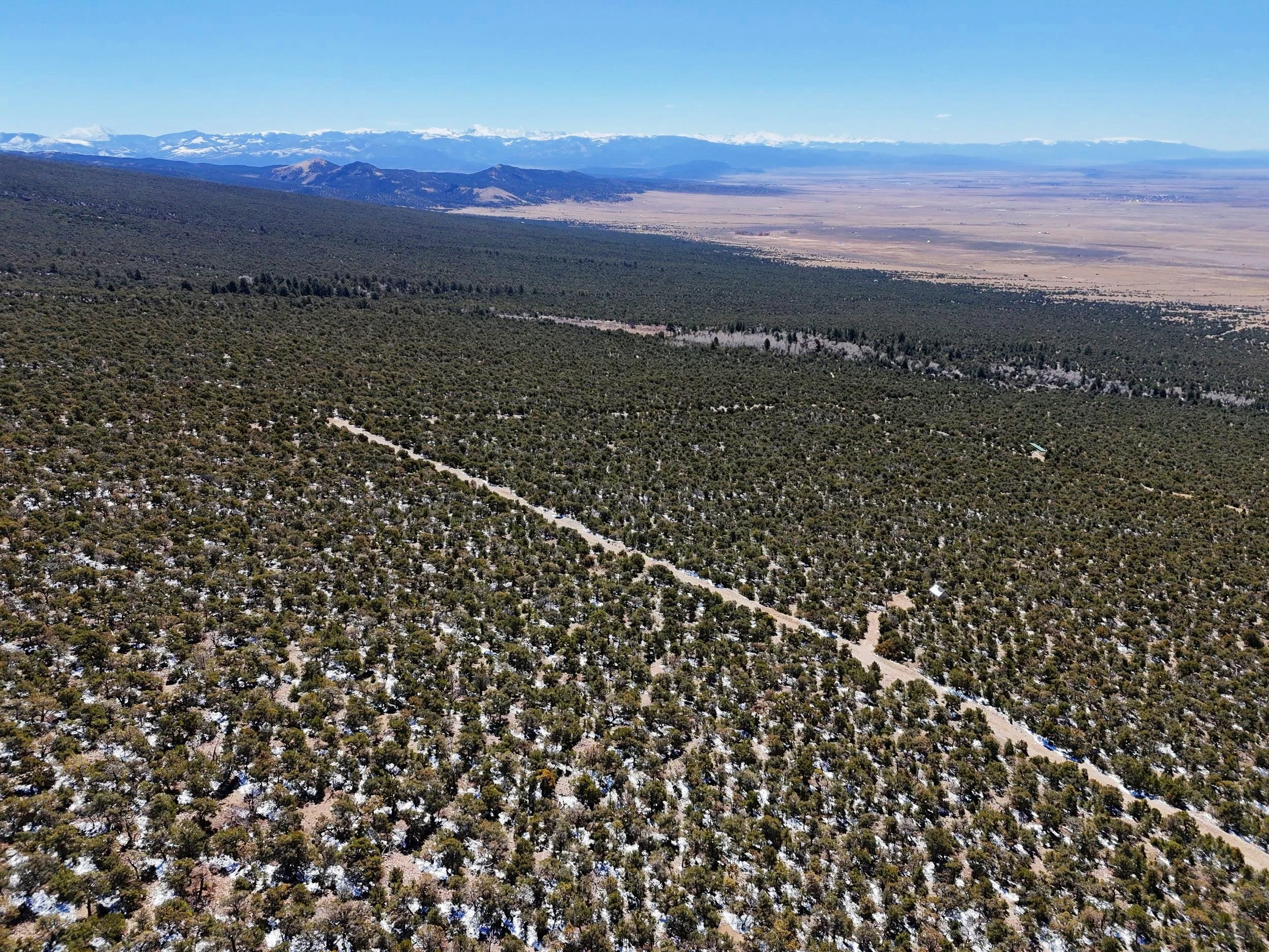 DJI_20250407103542_0011_D+%281%29.jpg