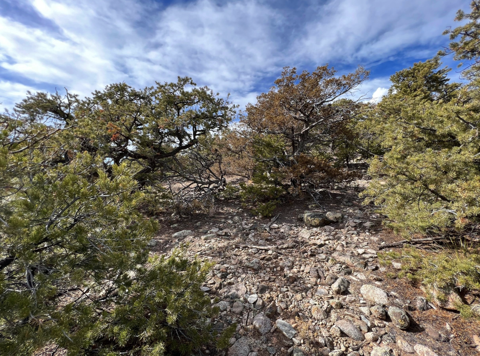 Screenshot 2025-05-20 at 10.15.32 AM.png