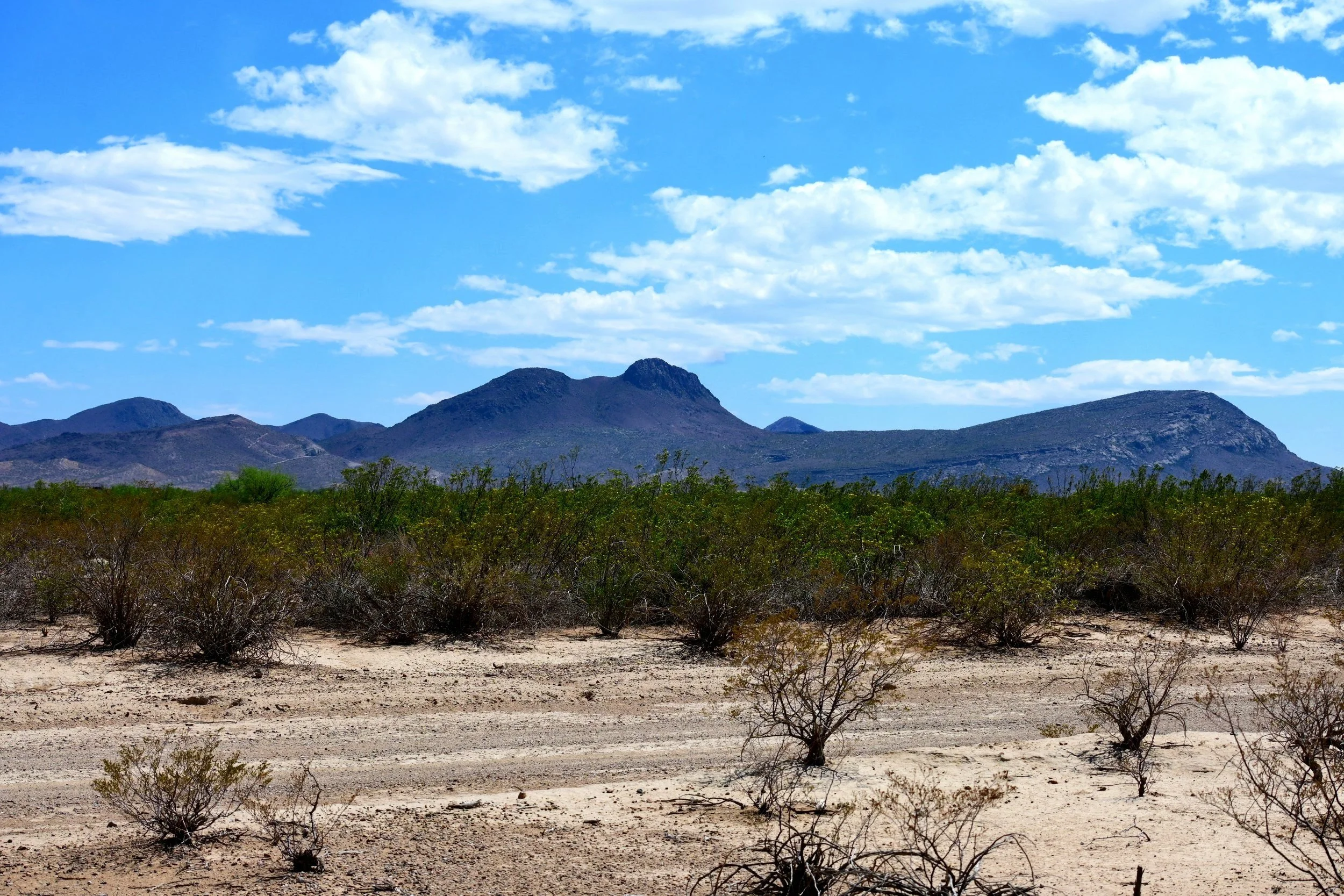 DSC_5140.jpg