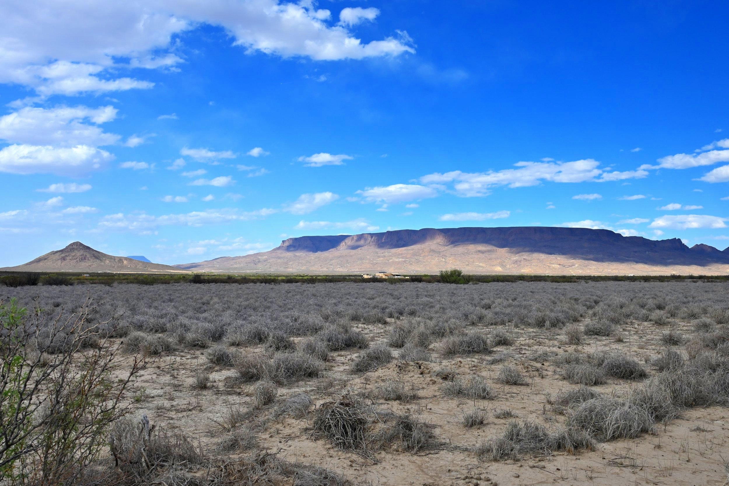 DSC_5289.jpg
