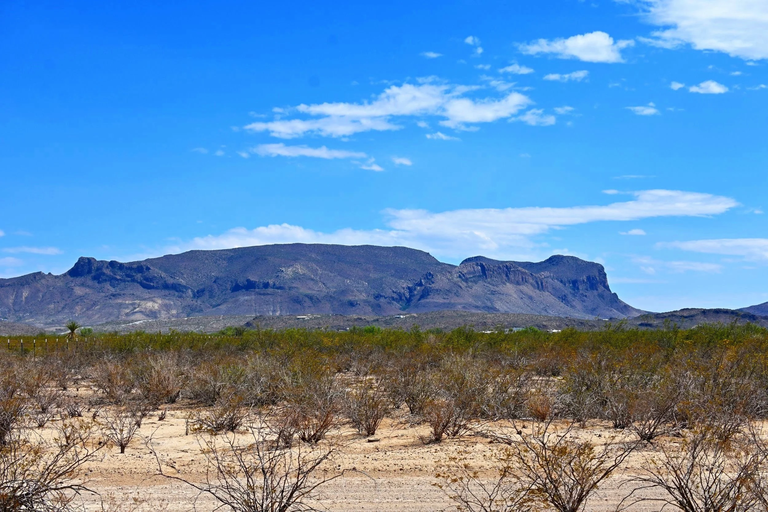 DSC_5135.jpg
