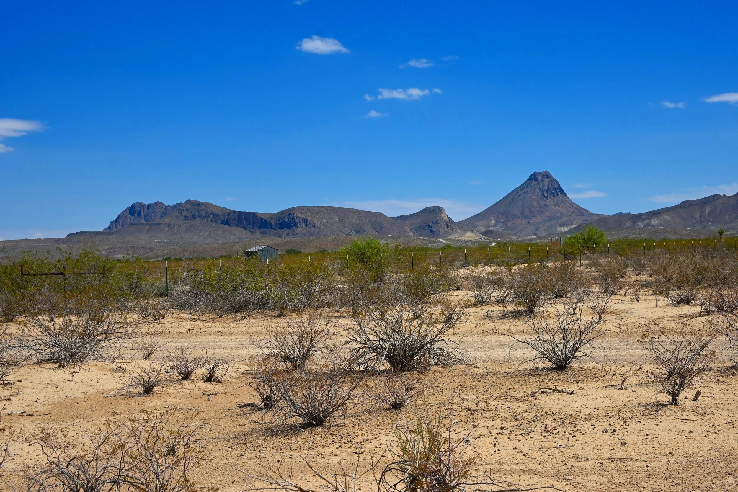 DSC_5176.jpg