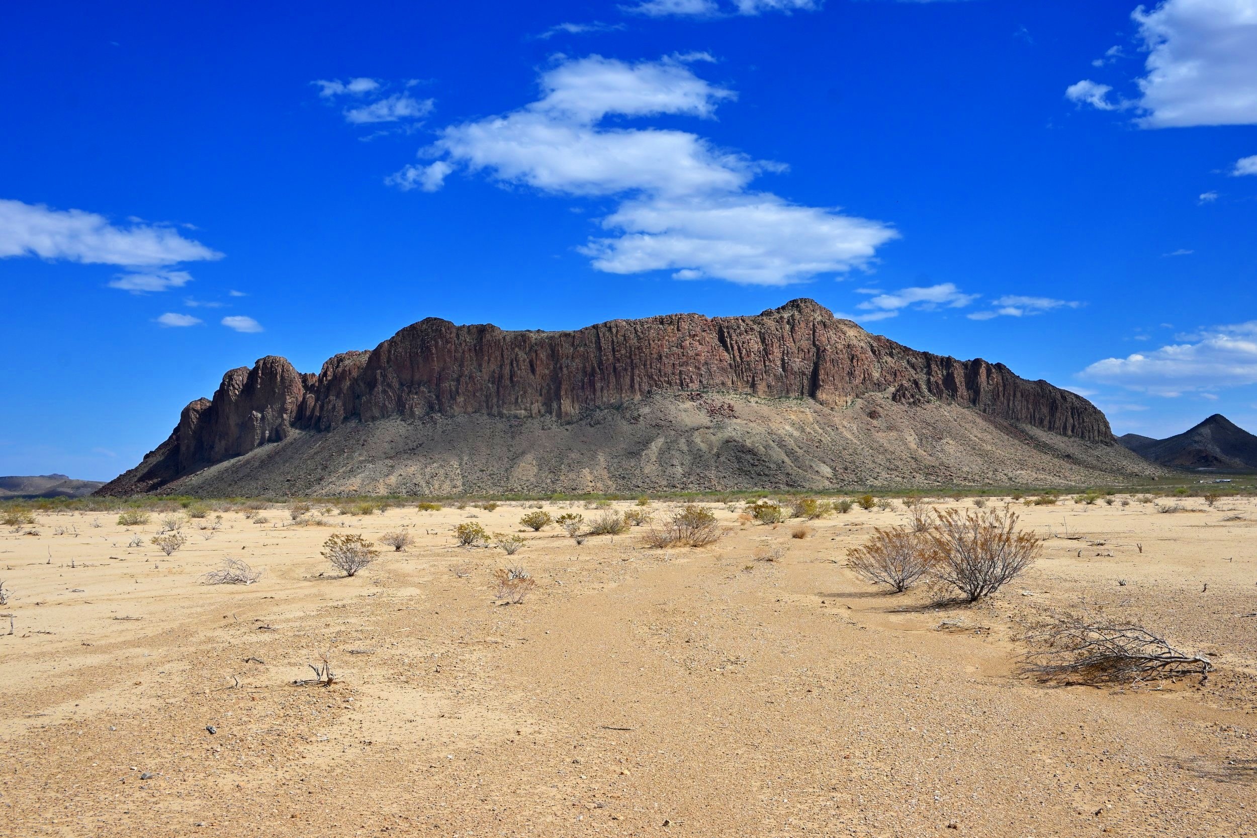 DSC_5191.jpg
