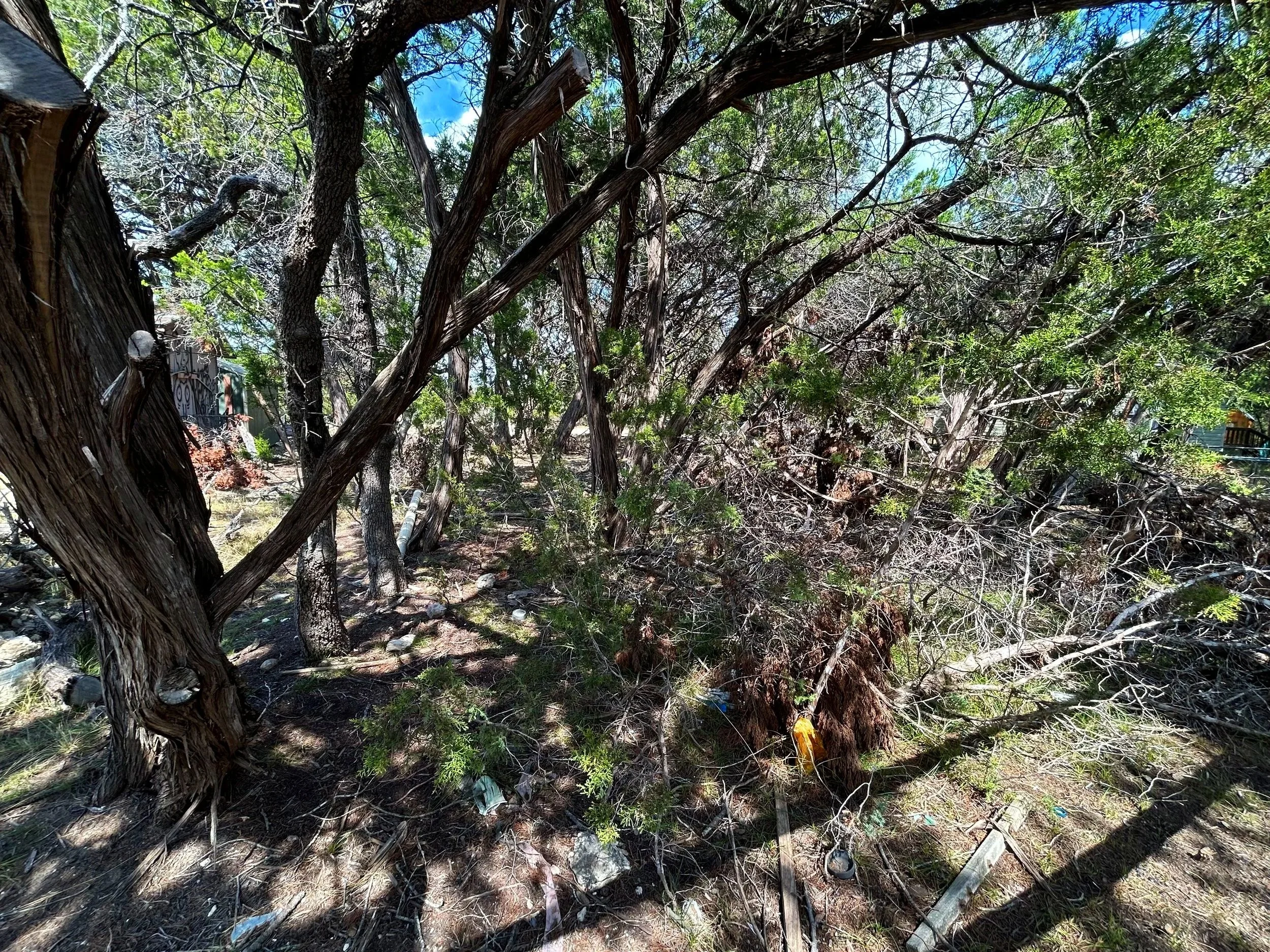 H01116BrushyCreekBackRight.jpg