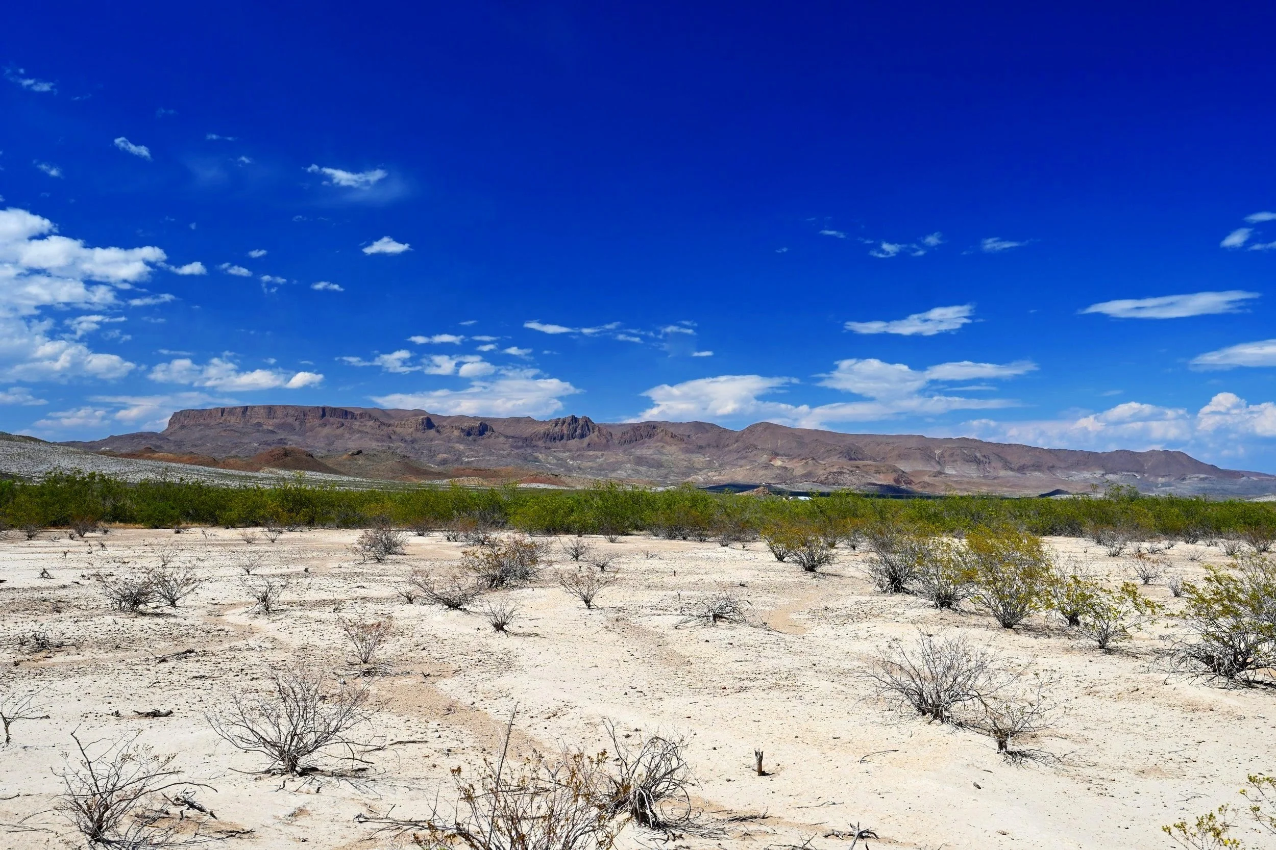 DSC_5169.jpg
