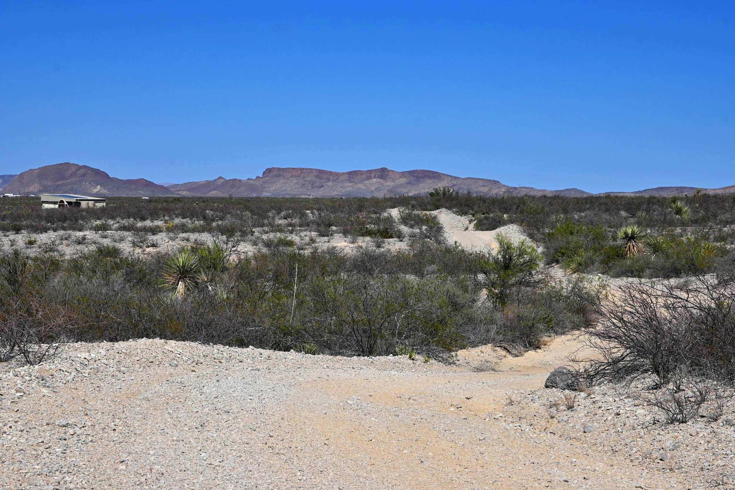 DSC_5061_01.jpg