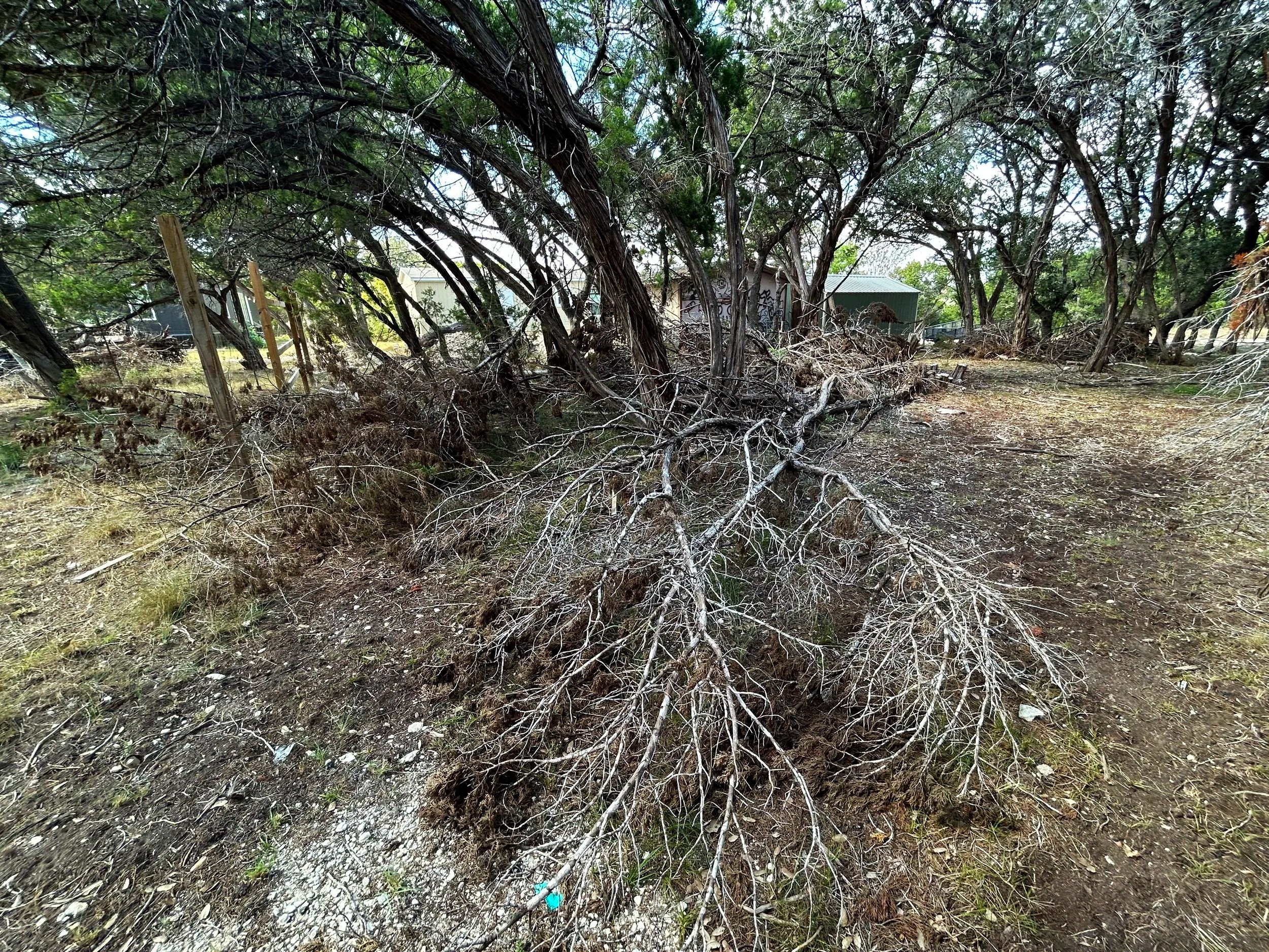 H01116BrushyCreekBackLeft1.jpg