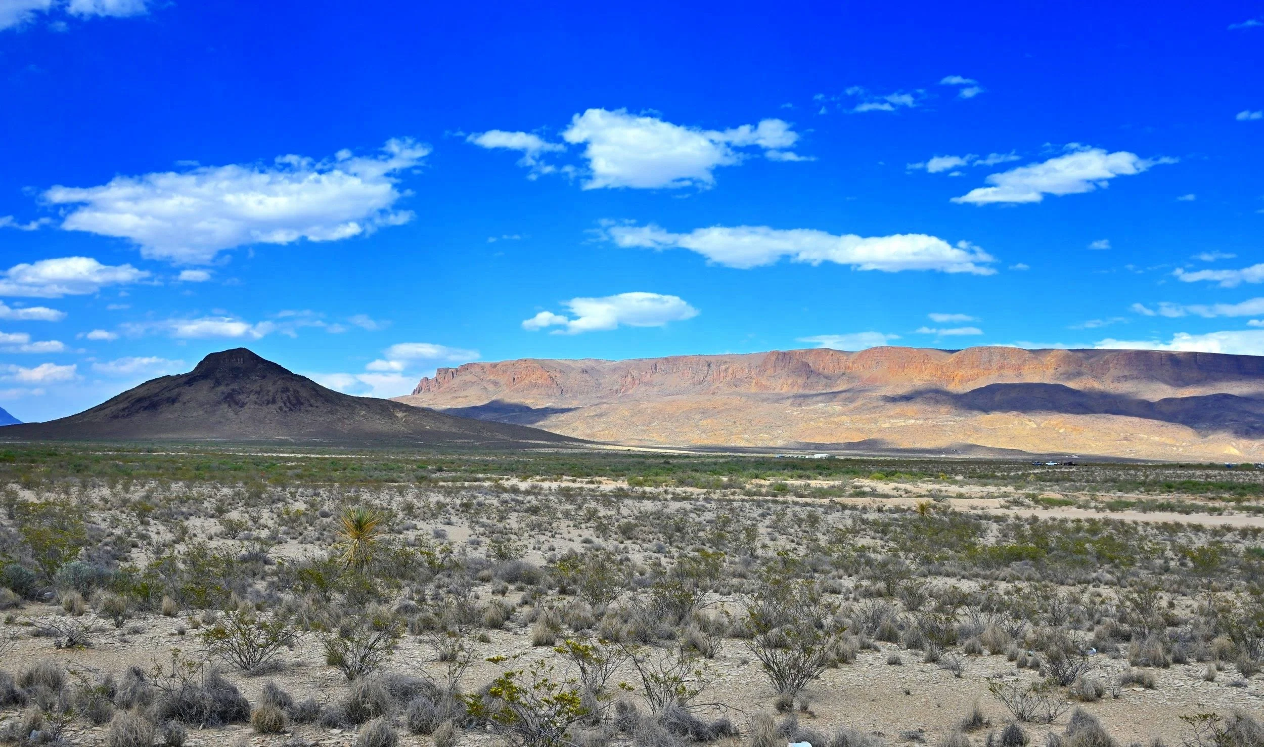 DSC_5248.jpg