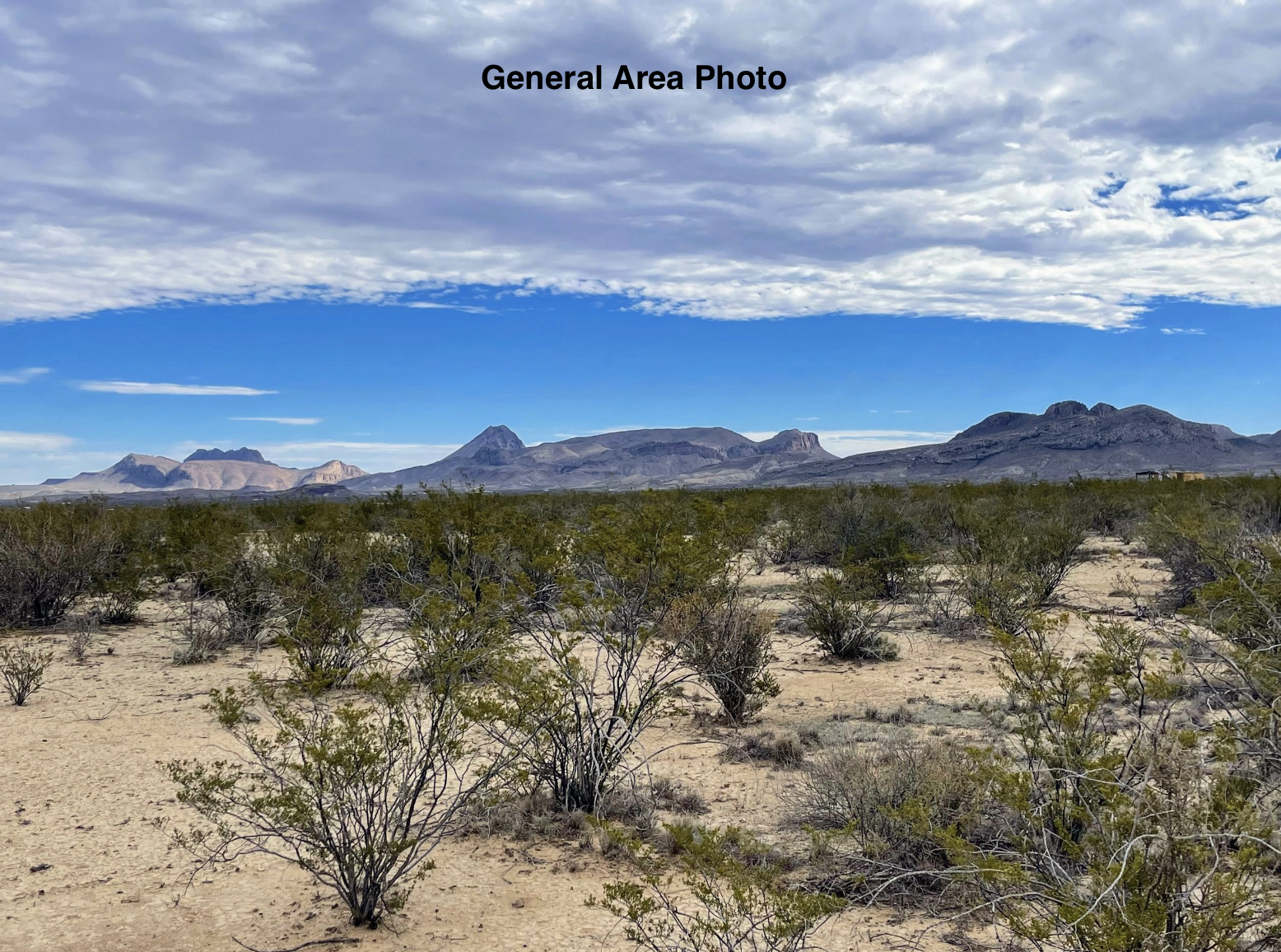 Screenshot 2024-12-11 at 12.14.40 PM.png