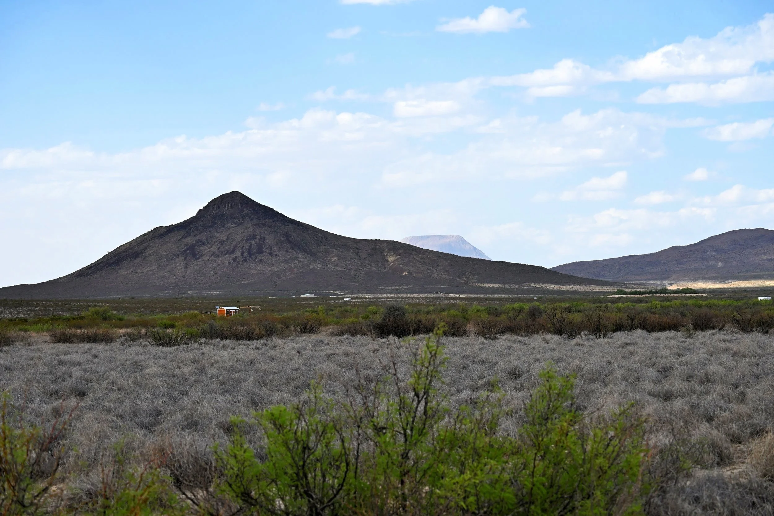 DSC_5317.jpg
