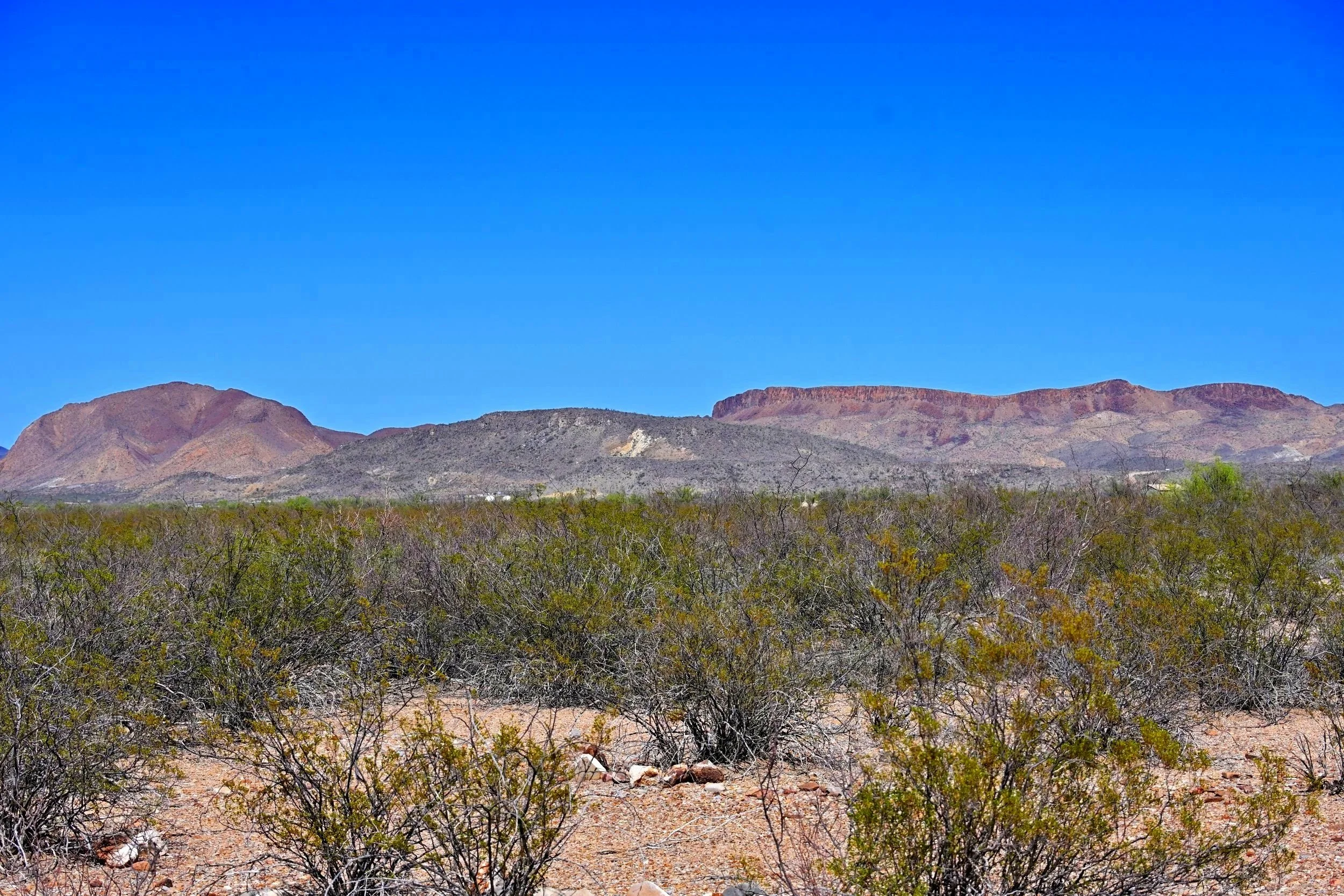 DSC_5071.jpg