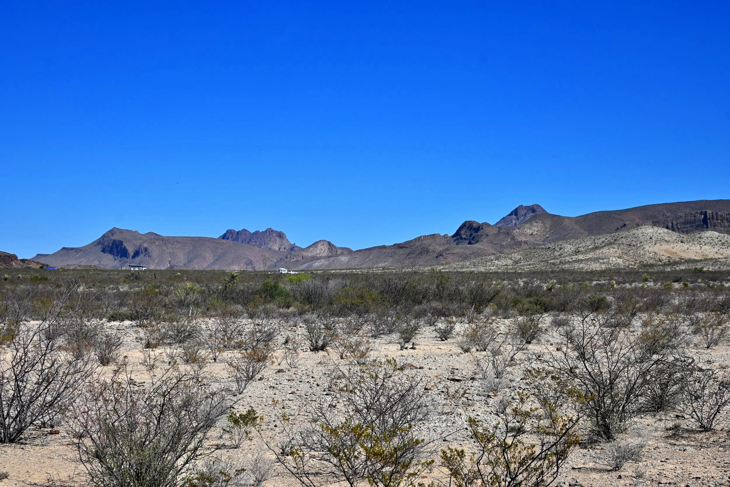 DSC_5041.jpg