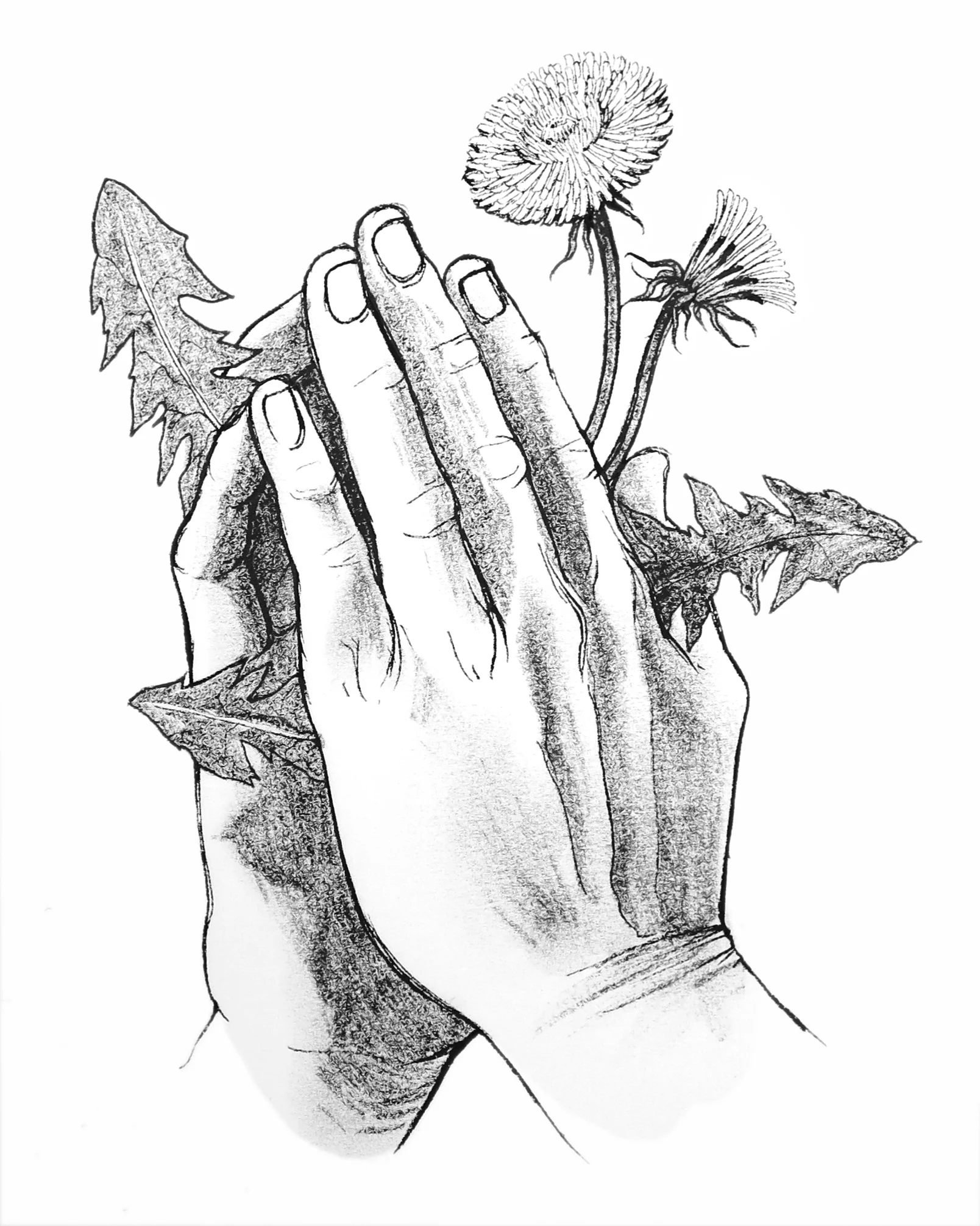 Meditations. Personal project, 2016.