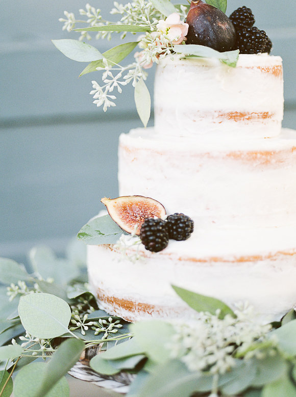 daphnemaephoto-35.jpg