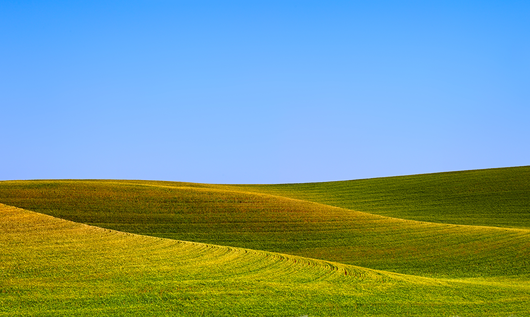 CF003406 (3).jpg