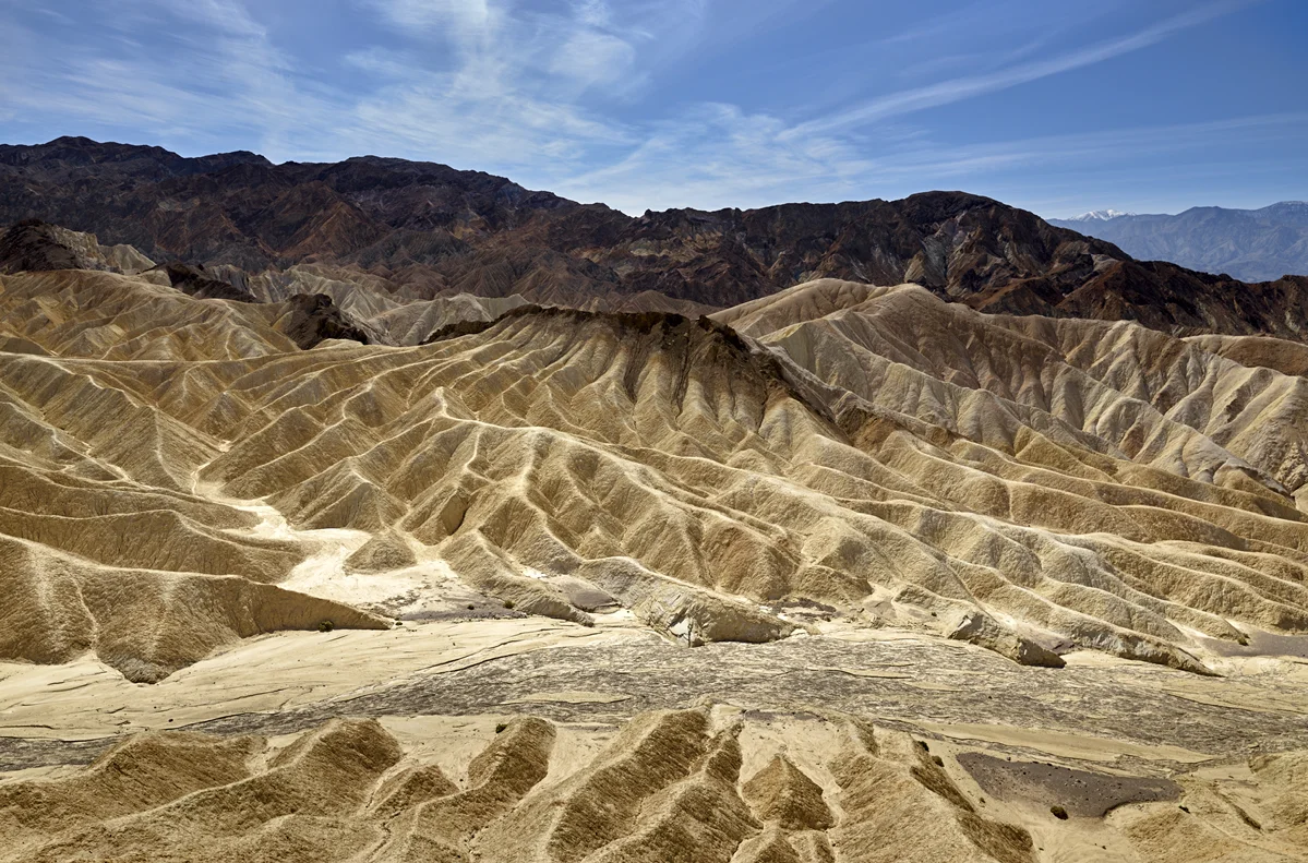 CF003873.jpg