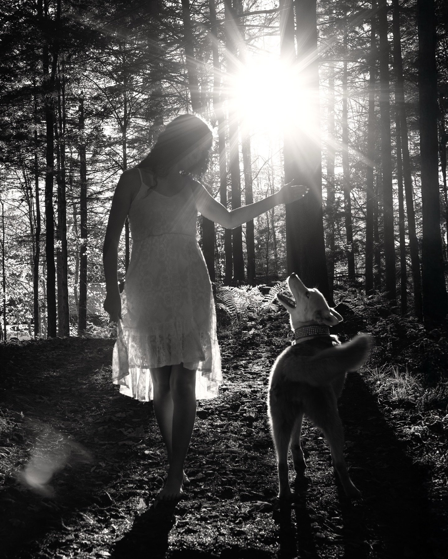 Wild hearts wander&hellip;. 🖤☀️🤍

Livy // WCV // 2026
@liv_ingthevidaloca00 

We had a blast didn&rsquo;t we?! The entire experience of you as a senior model and then your senior session was absolutely special. You&rsquo;ve grown into a very beauti