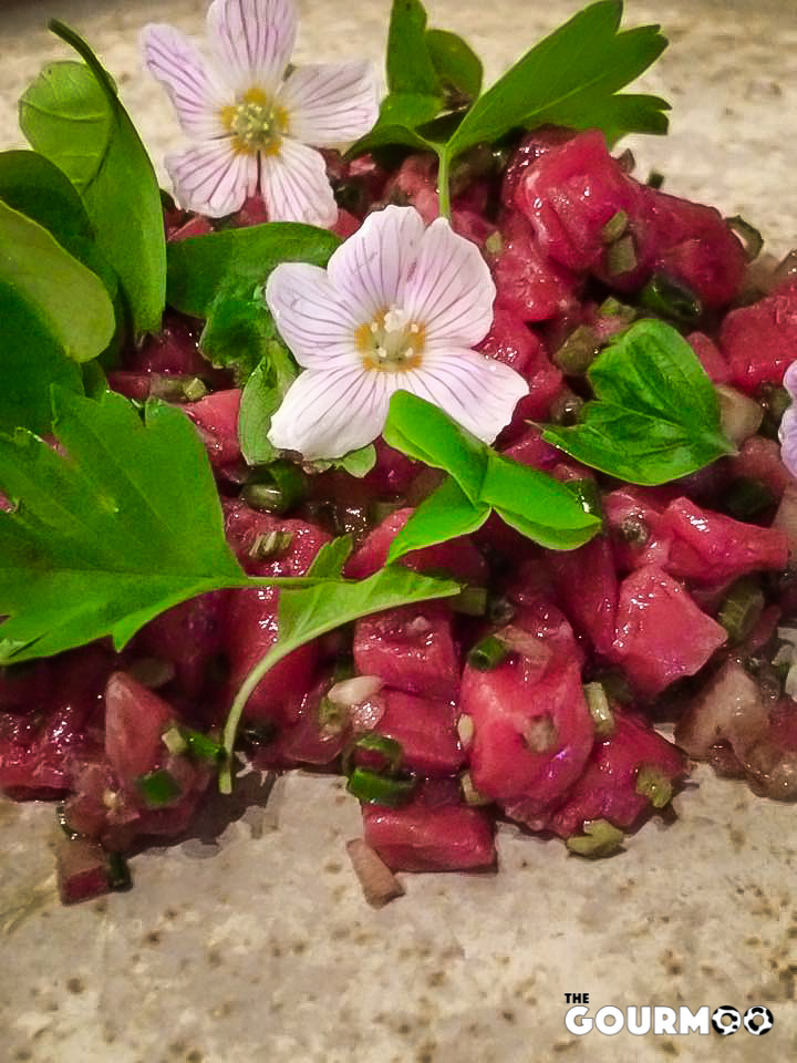 Beef tartare, egg, salted gooseberry