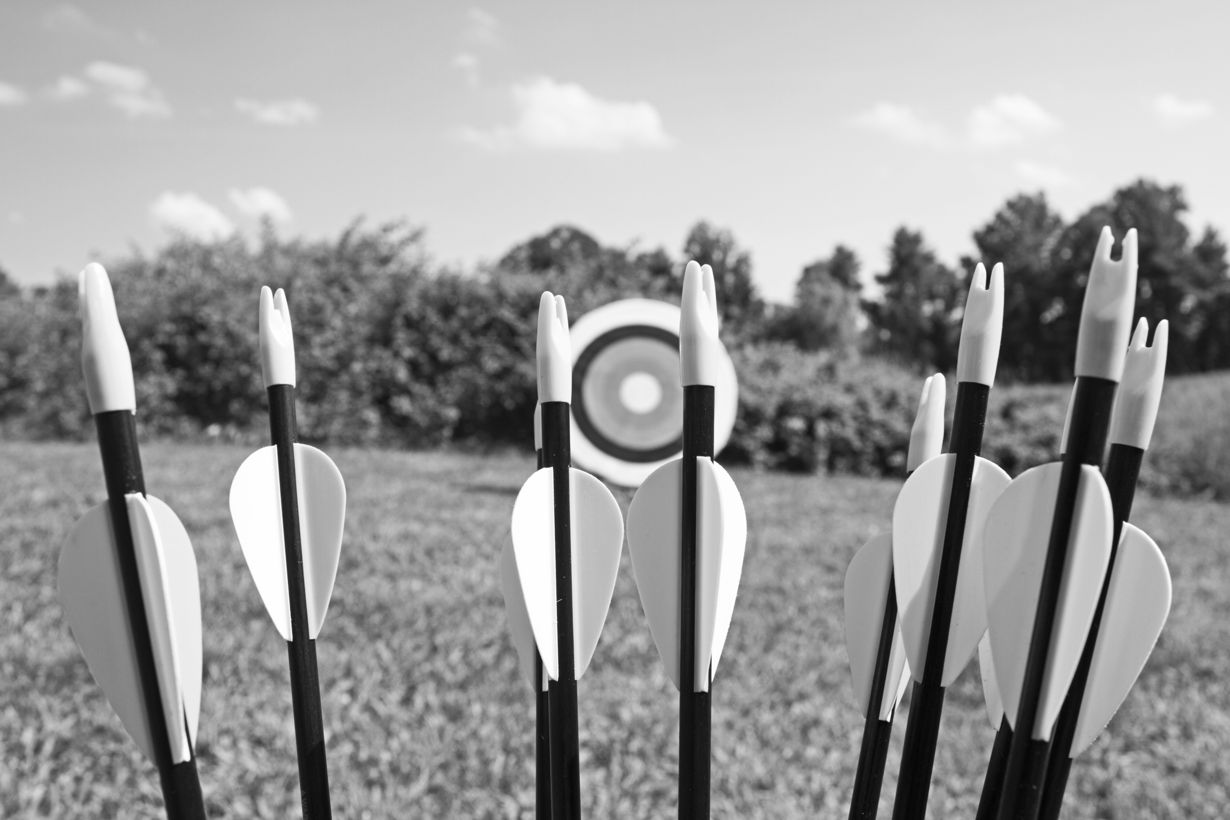 archery-web.jpg