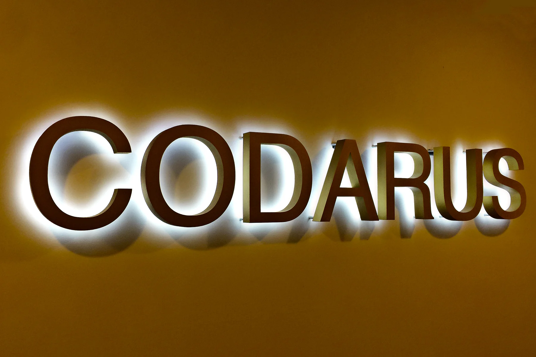 Codarus