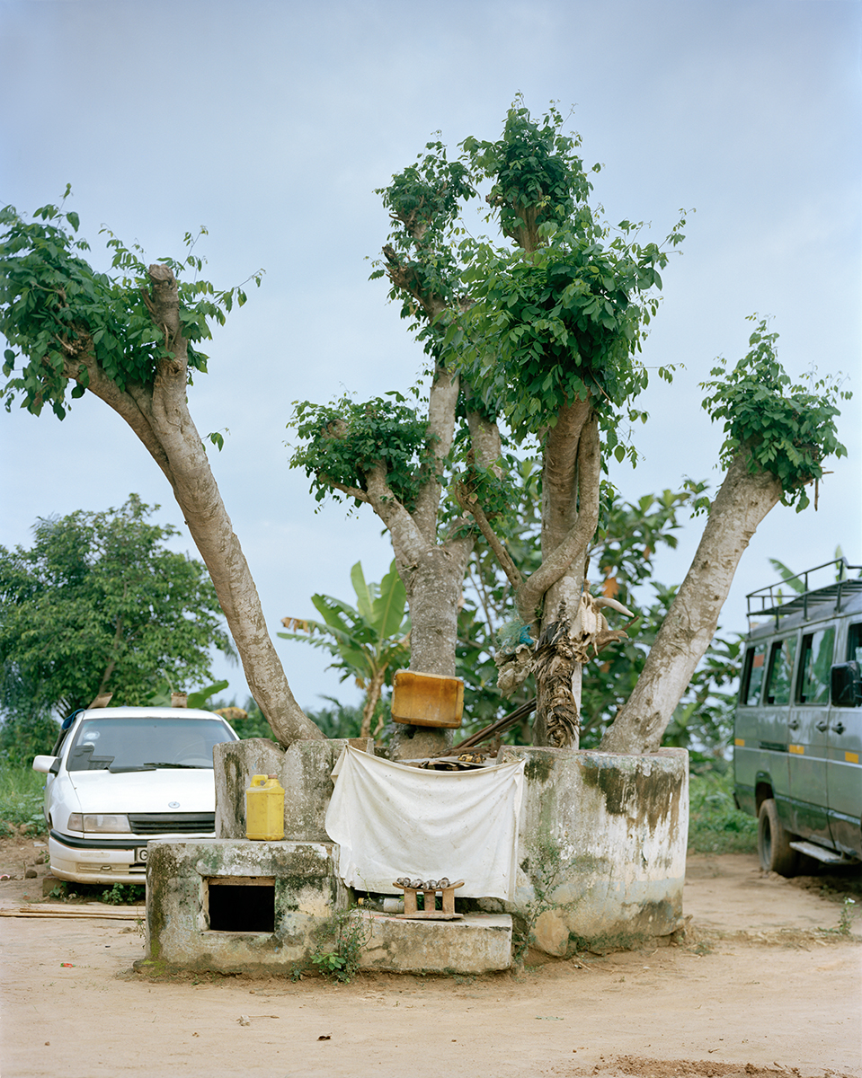 tree_shrine_2_E.jpg