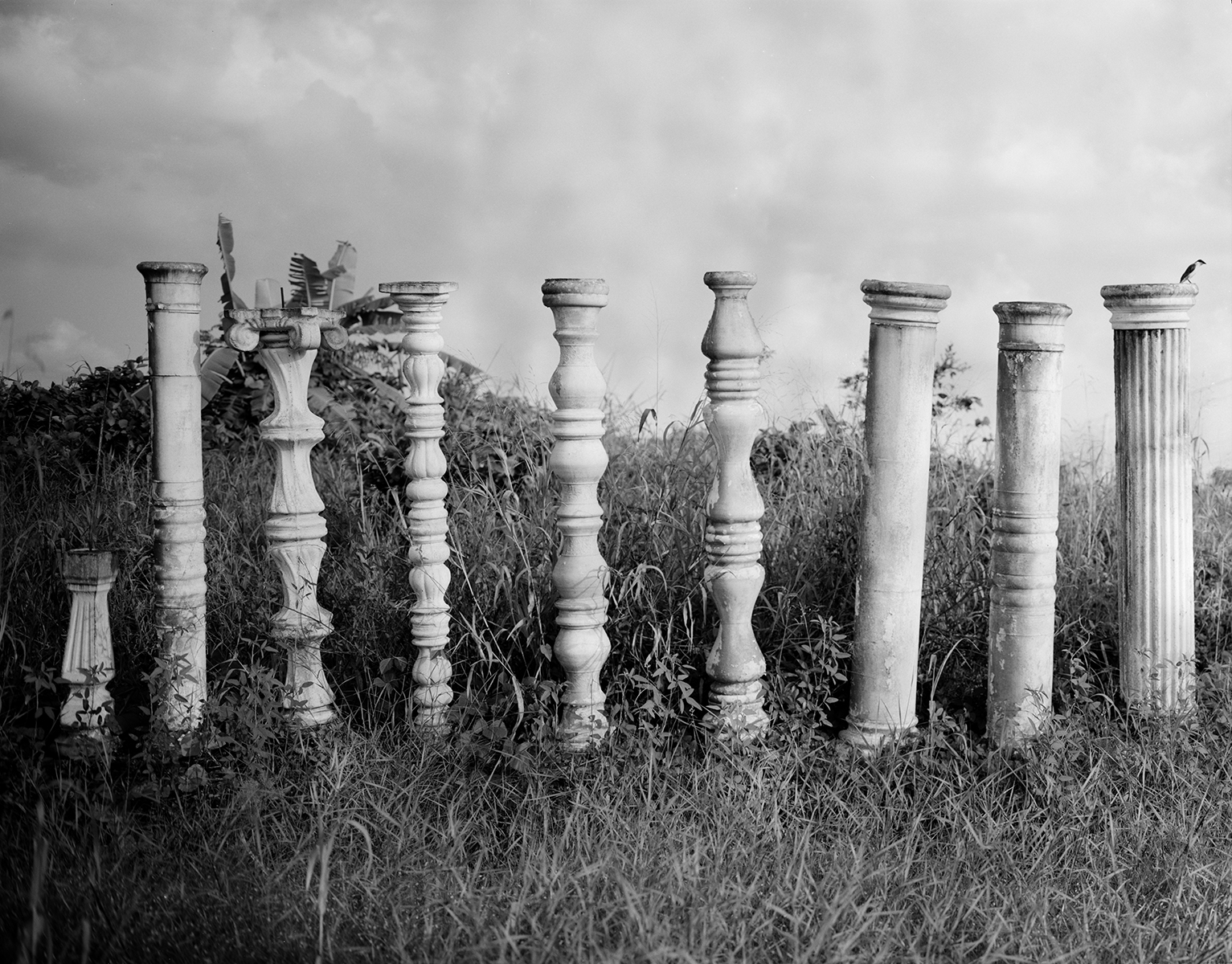 Columns