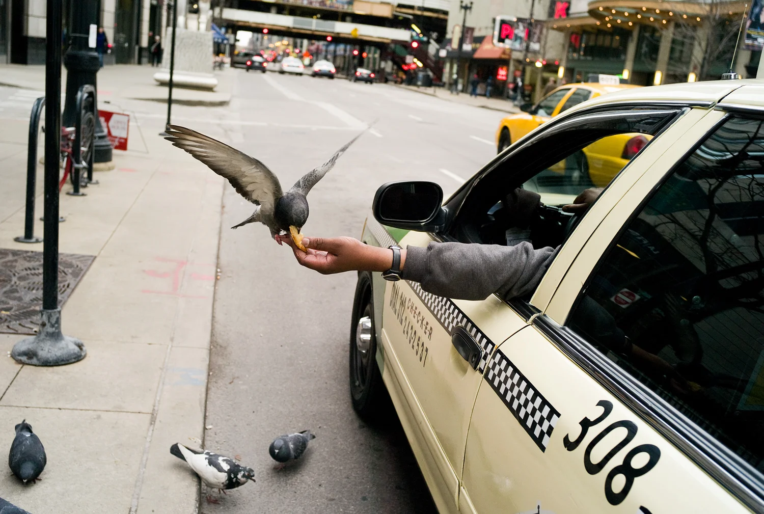 Chicago, 2011.jpg