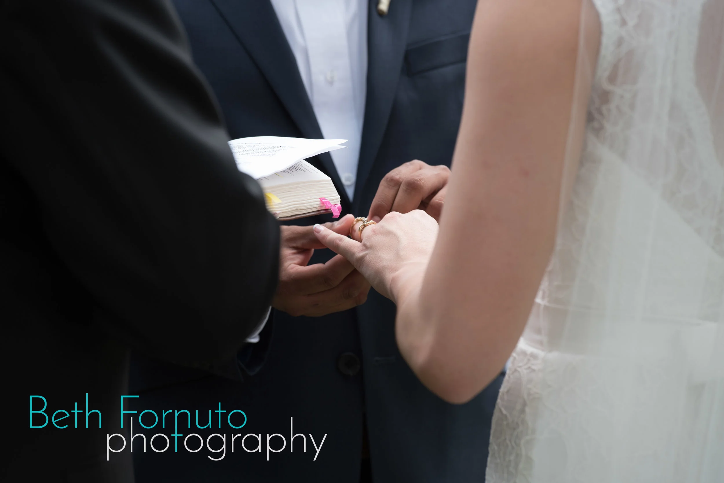 DSC_1852Beth Fornuto Photography.jpg