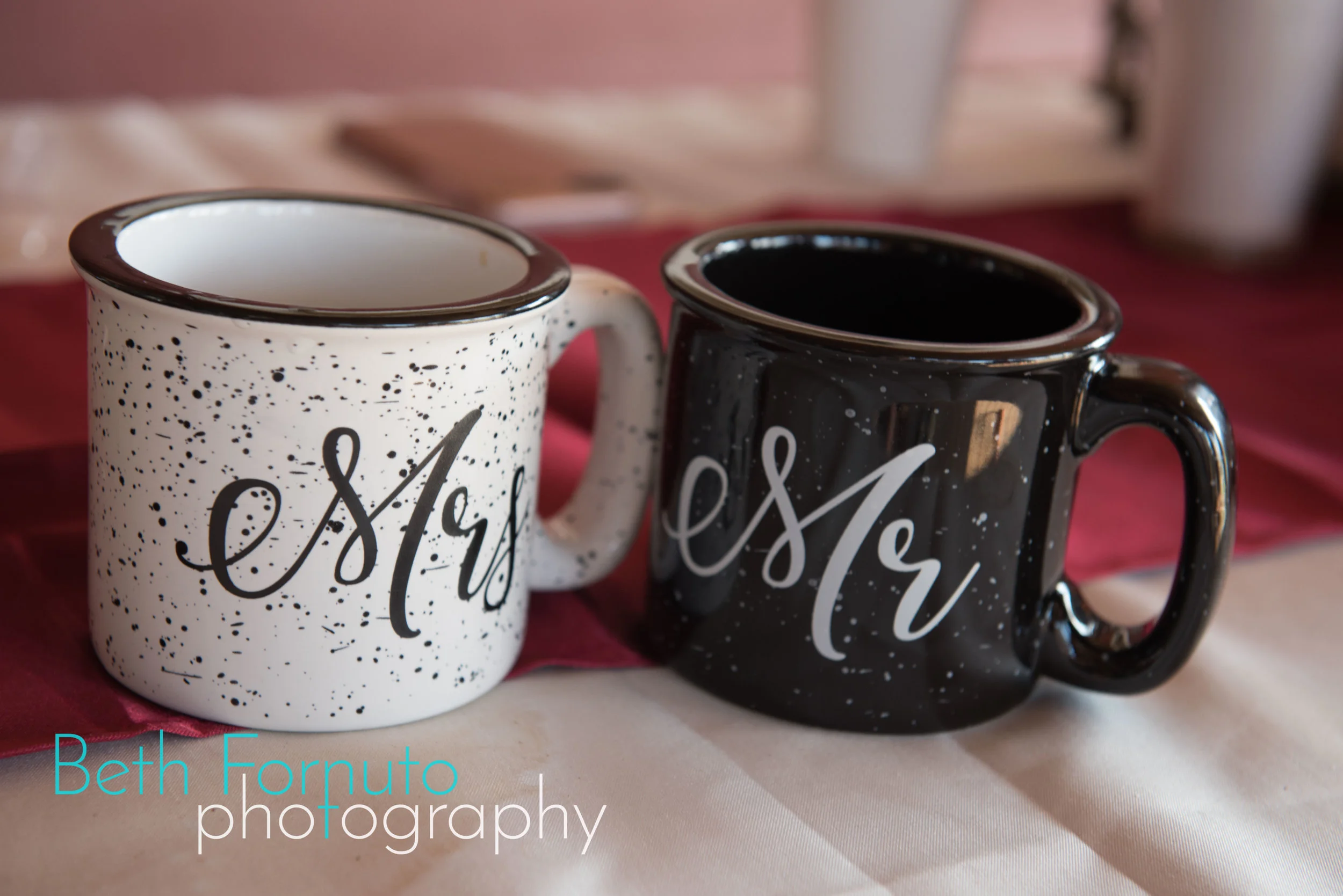 DSC_2227Beth Fornuto Photography.jpg