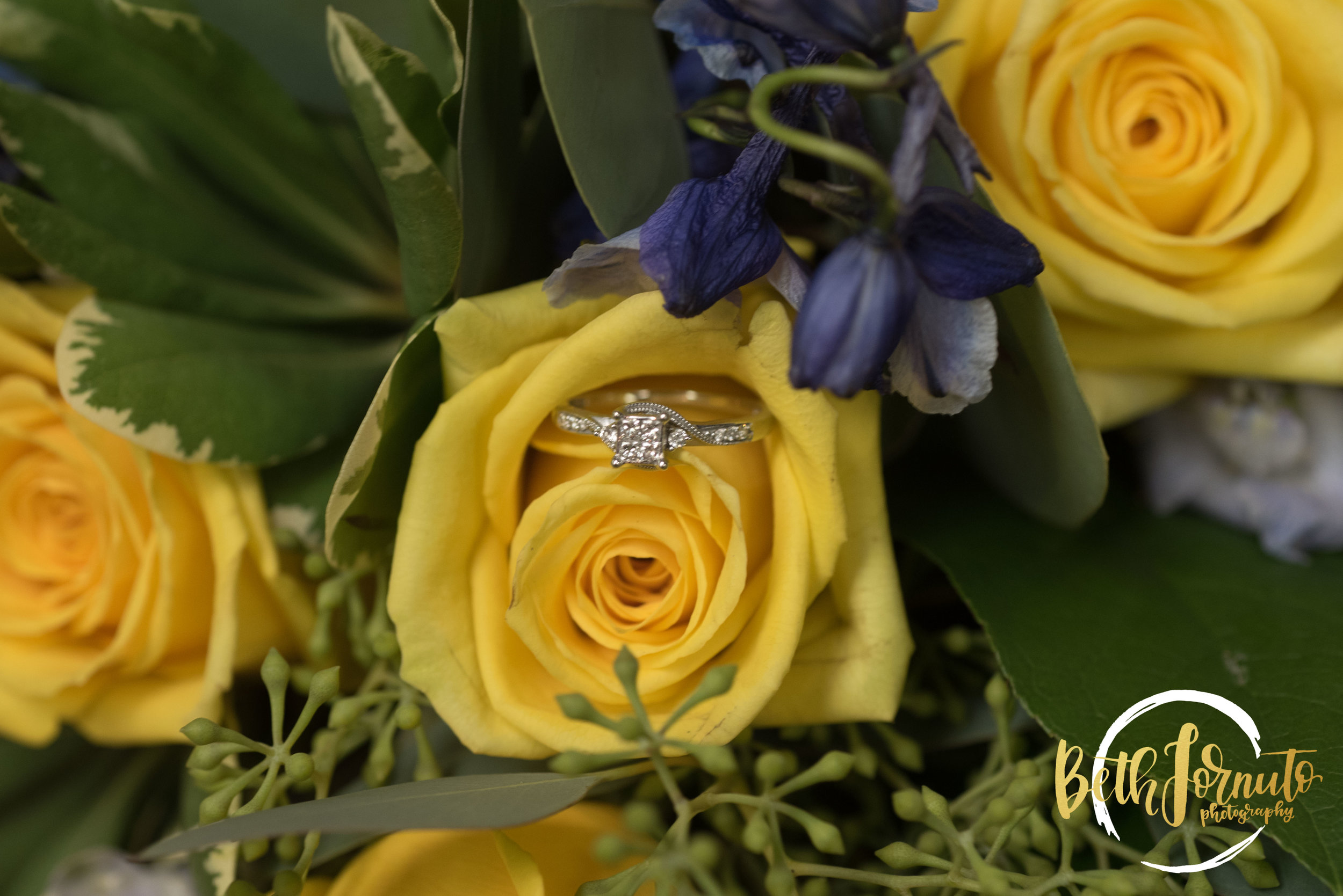 BFP_4006BethFornutoPhotography.jpg