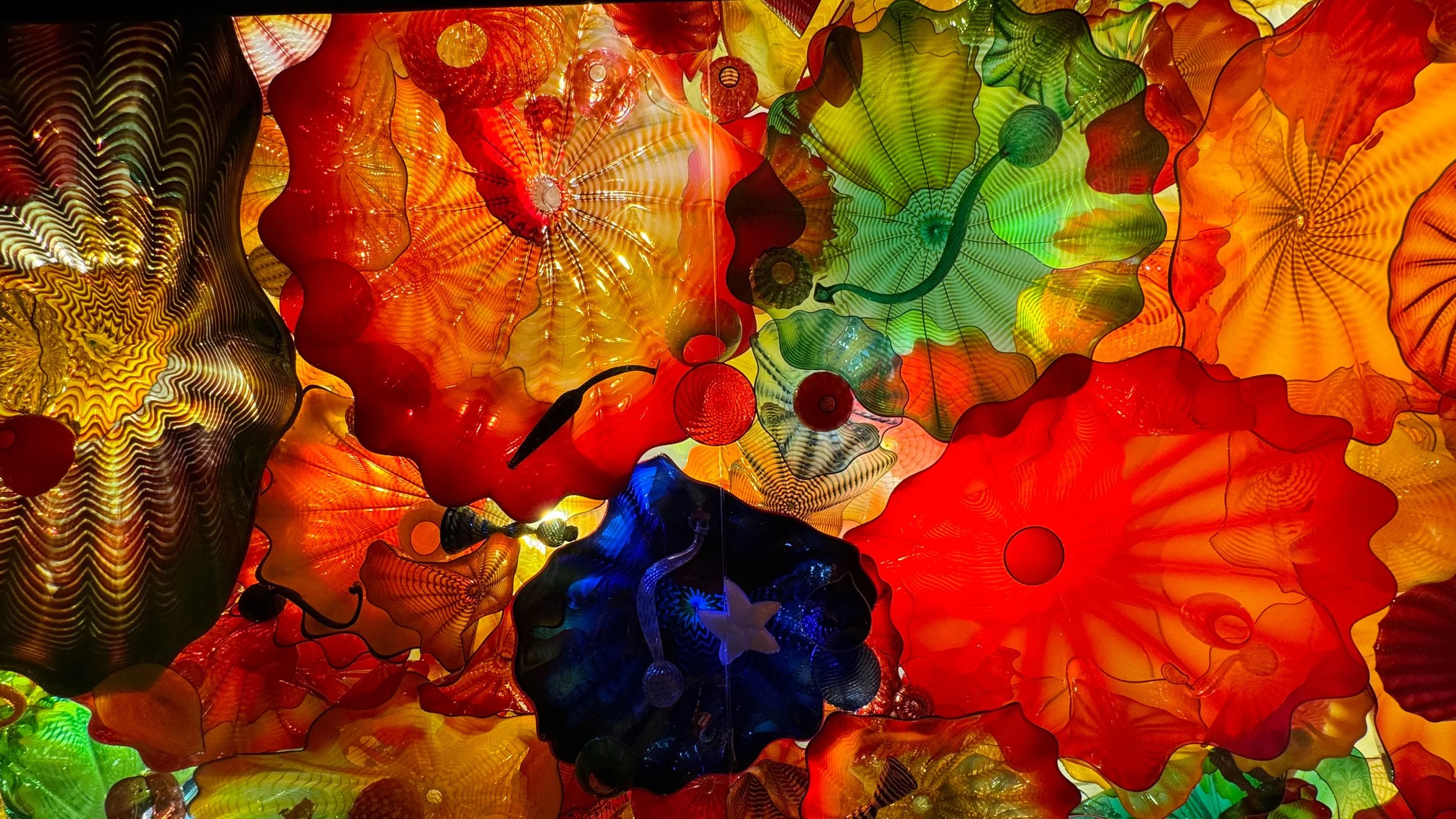 ATLANTA PROFESSIONAL PHOTOGRAPHER | GIRL'S TRIP TO ASHEVILLE TO SEE THE CHIHULY