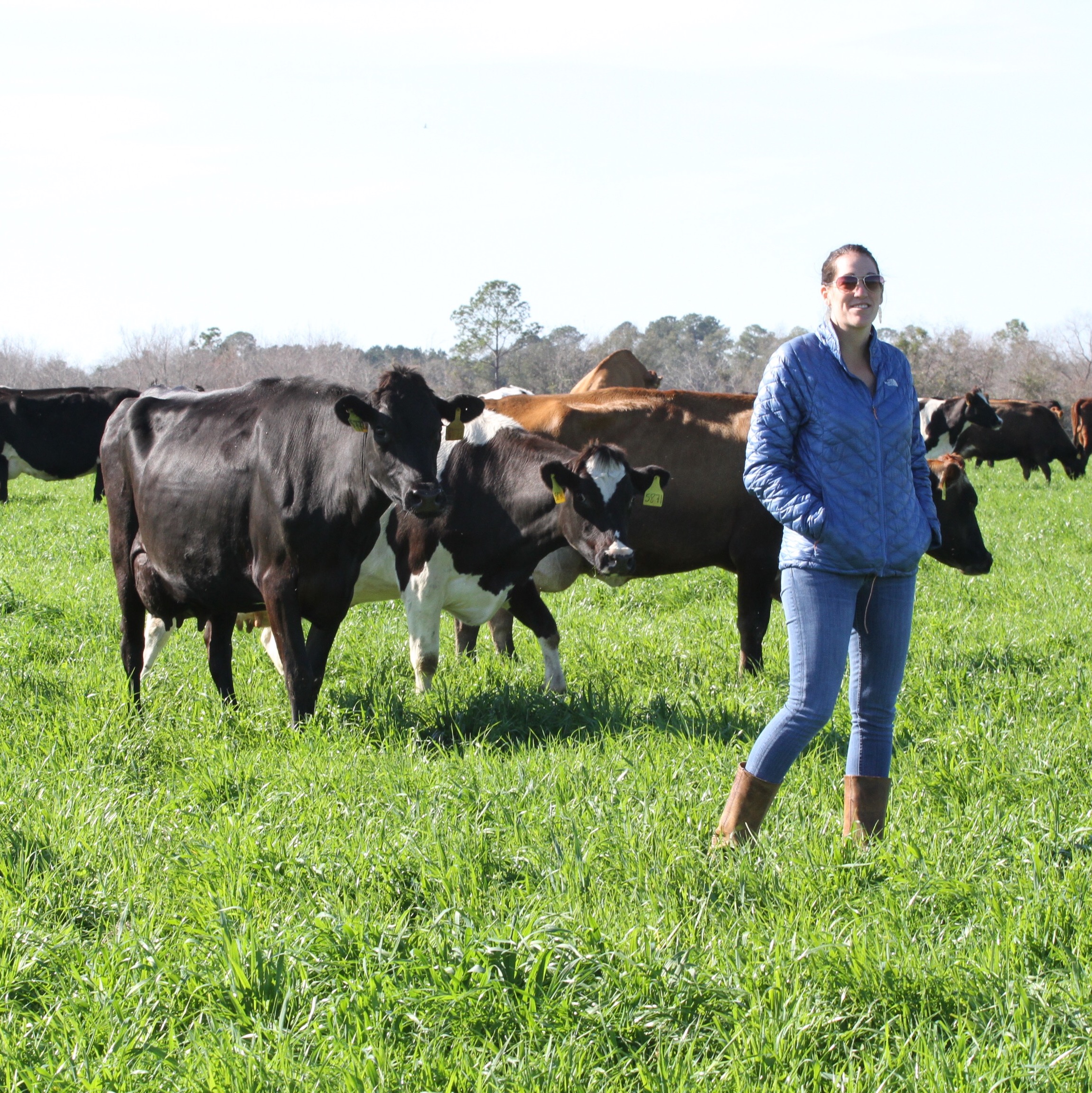 photos: sweet grass dairy