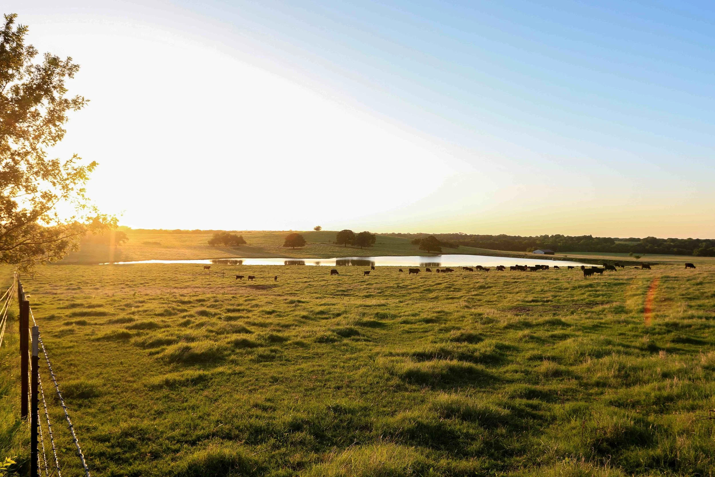 Landscape Shot_1.jpeg