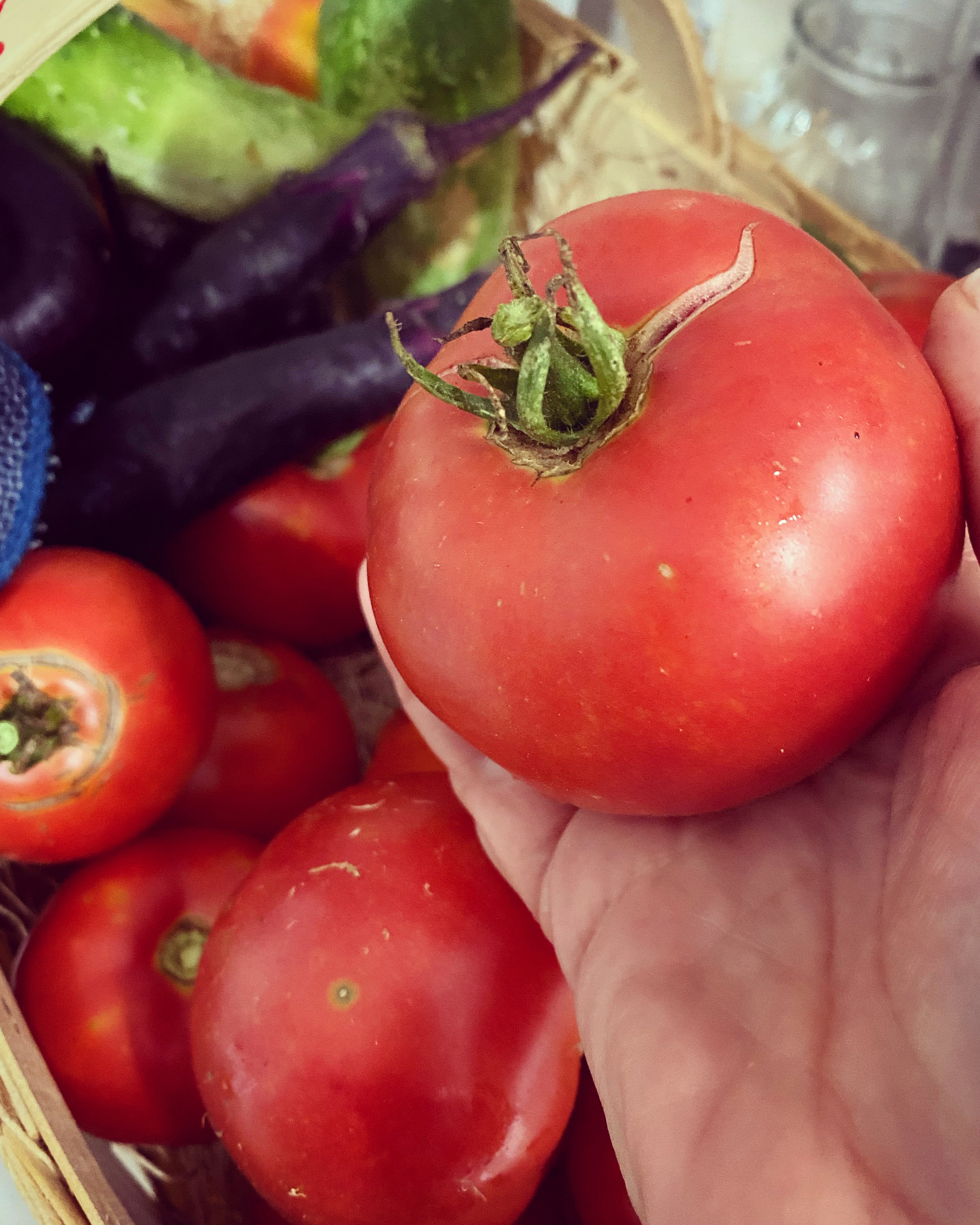 small city farm charlotte tomato.JPG