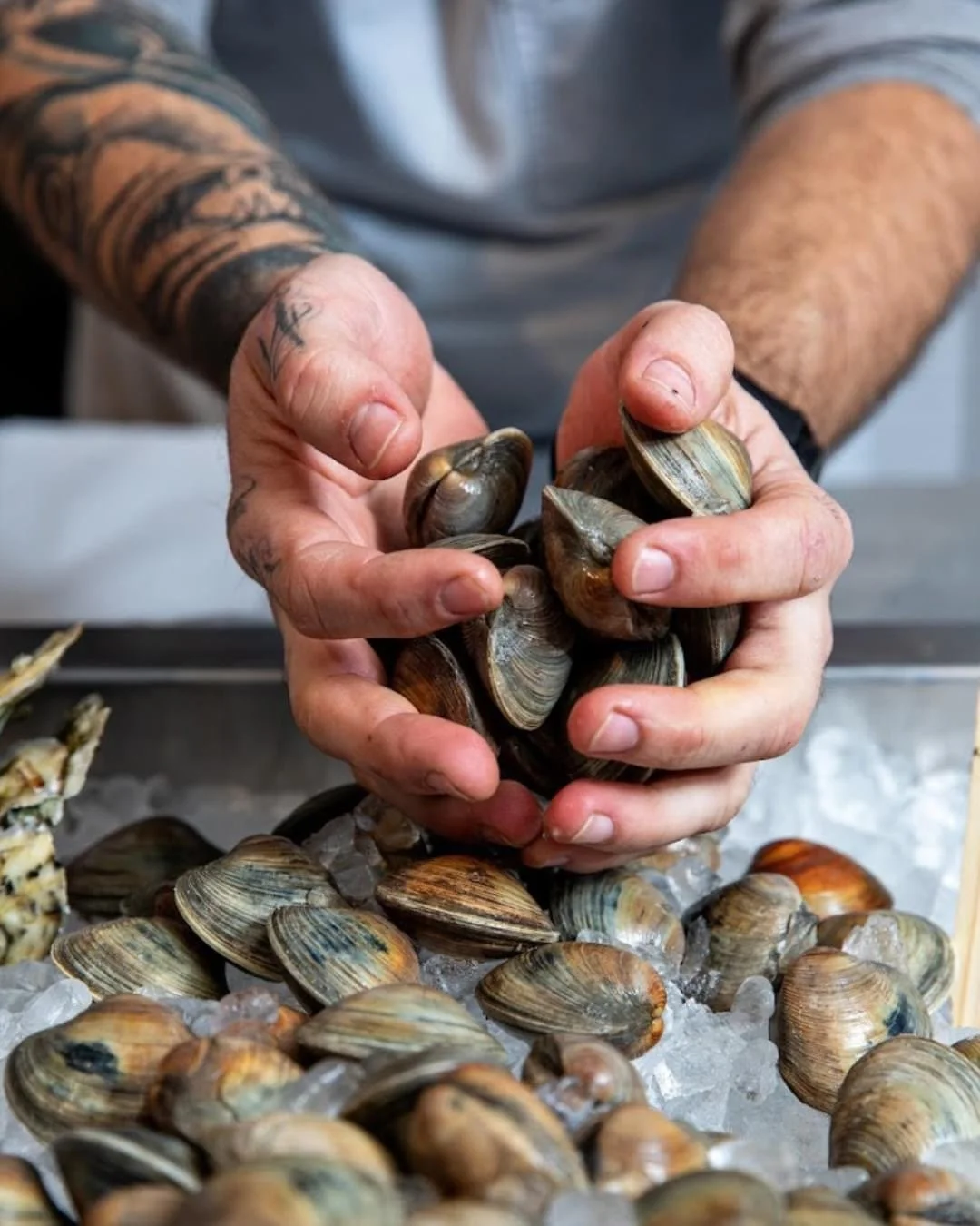 cudaco charleston james island.JPG