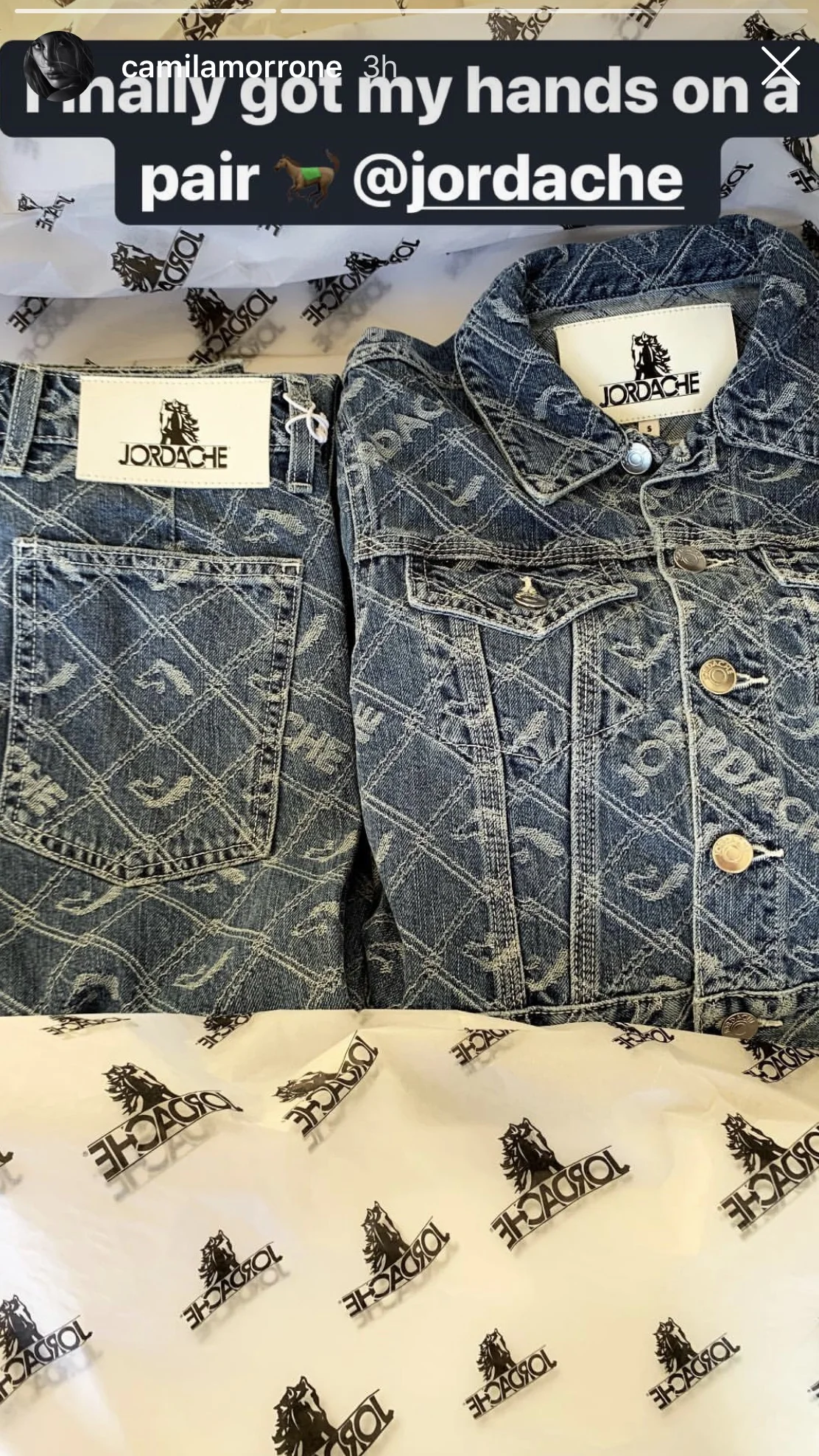 Cami Morrone posting new Jordache launch.