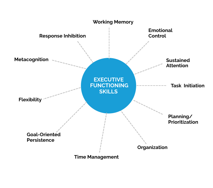  A shopping trip requires a variety of Executive Functioning skills,&nbsp;which is why I chose the grocery store as the community setting for the initial prototype.&nbsp; 