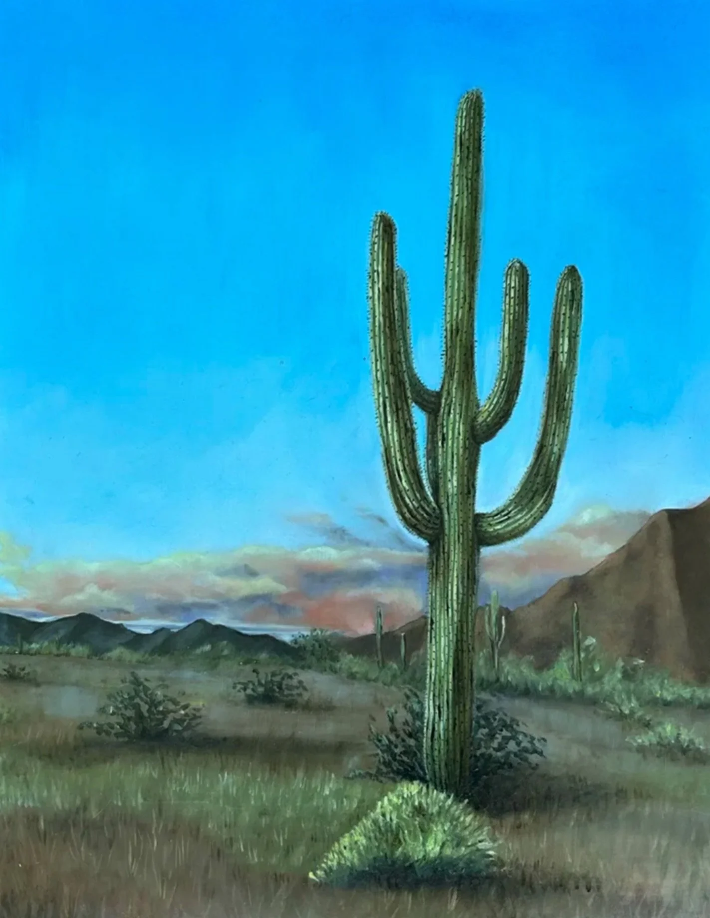 I don&rsquo;t often paint landscapes as I more often incorporate the environment in a more abstract way, but this one I couldn&rsquo;t resist. 

The Sonoran desert is like no other place I&rsquo;ve been. The light is different somehow. We drove down 