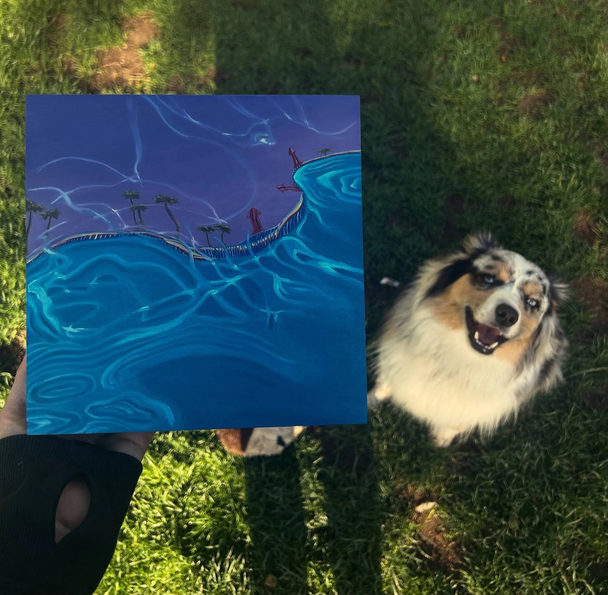 Trying to get a photo of some new work for @riverdaleartwalk , but Ozzy wants to be in the photos too. 

New series of smalls based on some of my resent adventures. This one from Palm Springs. 

They will be available June 6-7 in Toronto 

See you so