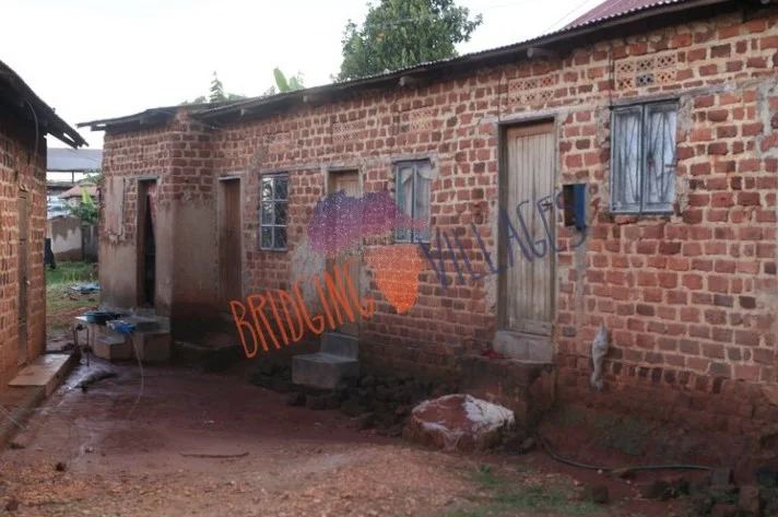 d29.jpg
