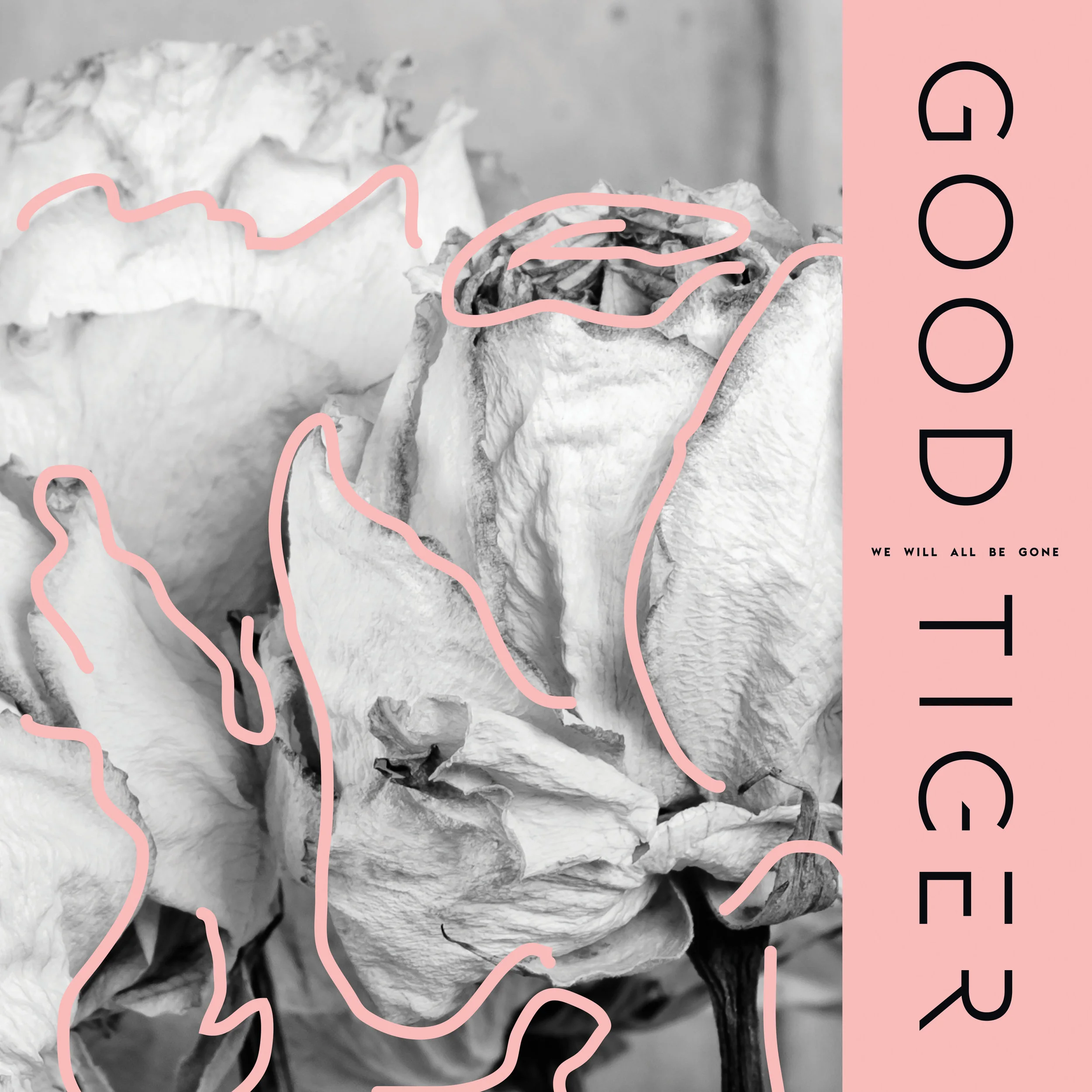 GoodTiger_WWABG_Cover_F2_RGB.jpg