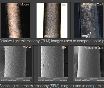 Screen Shot 2017-12-11 at 12.01.23 AM.png