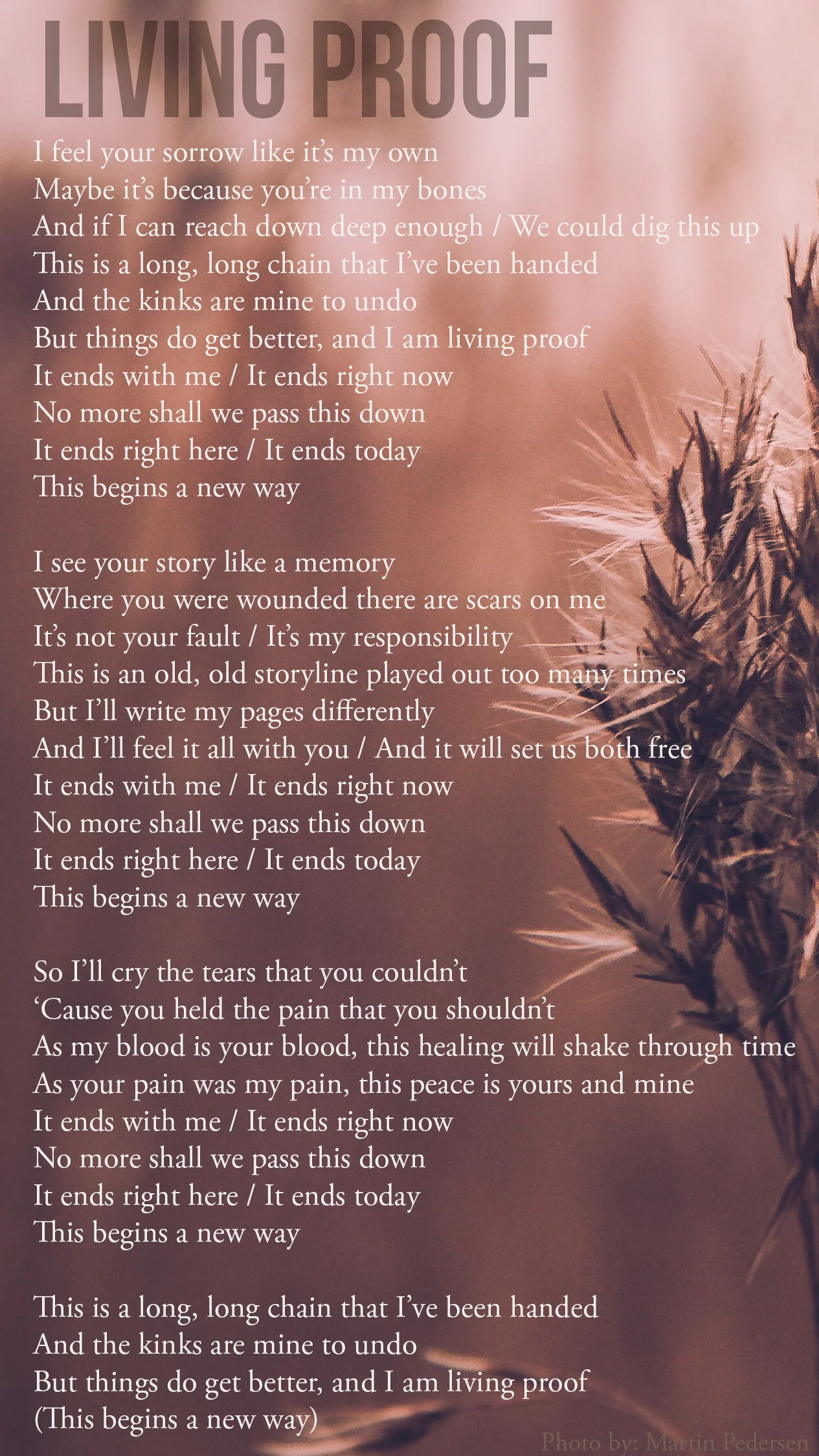 Living Proof Lyric (martin-pedersen).jpg