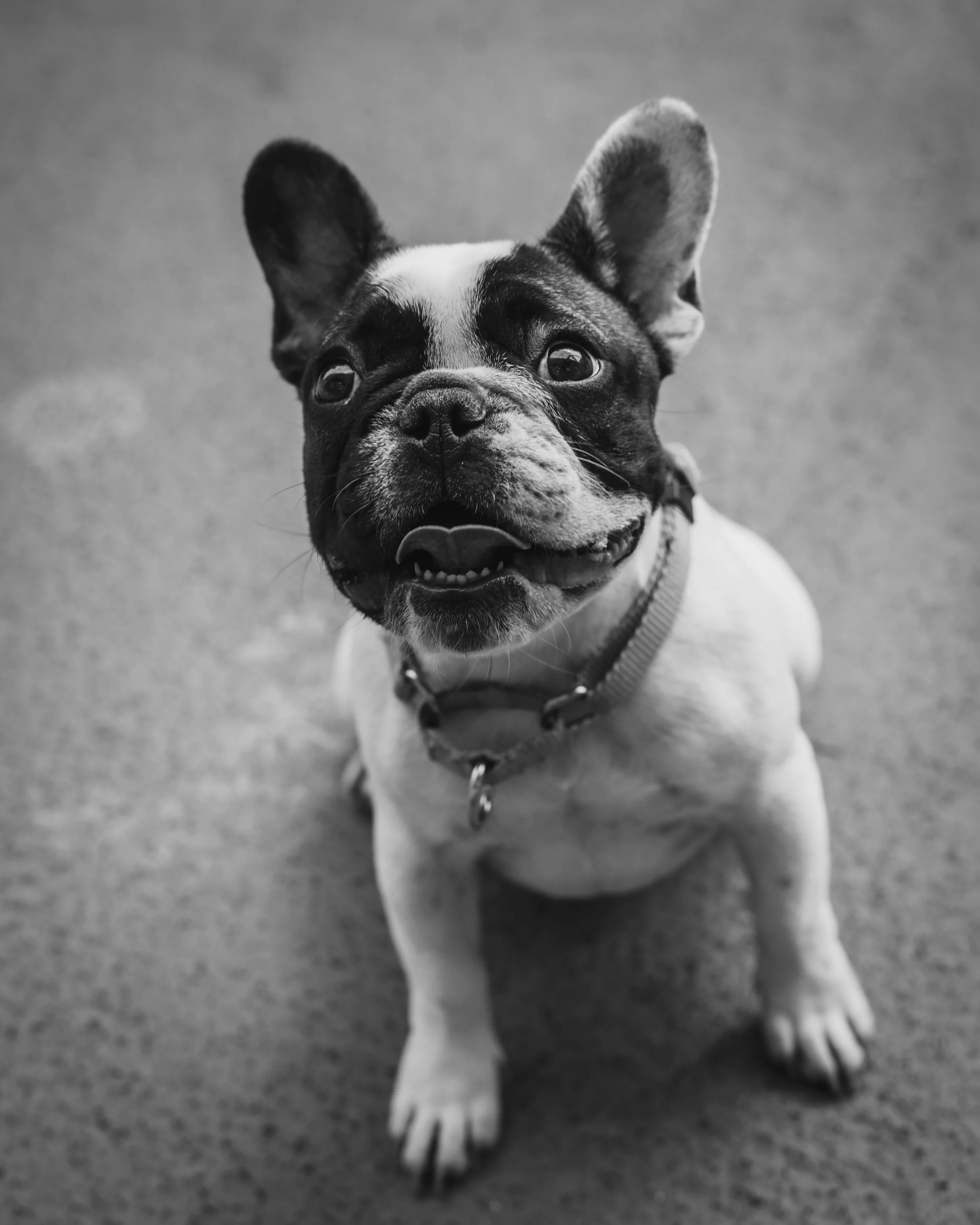 180818_DARLA_25.jpg