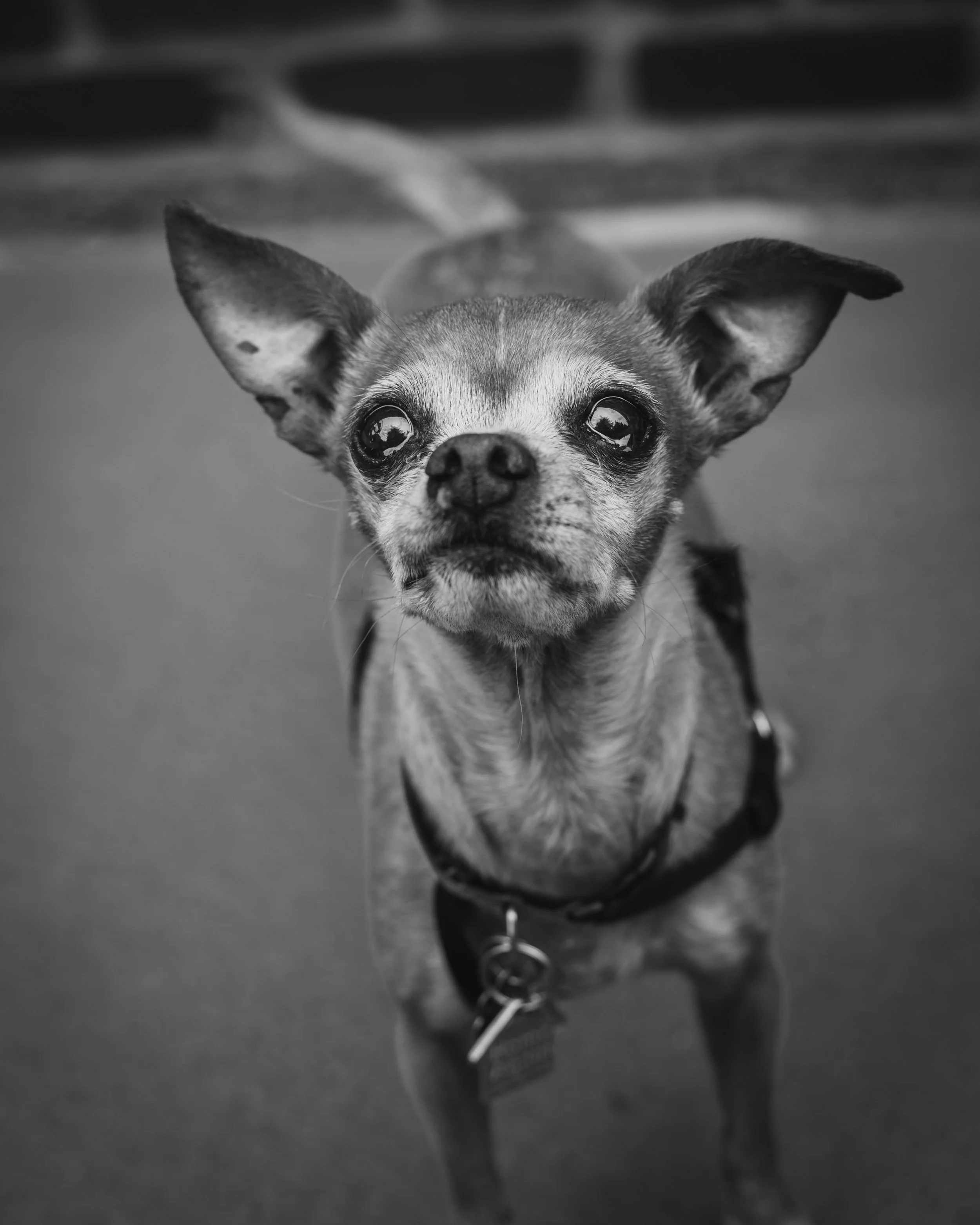 180818_IZZY_18-Edit.jpg