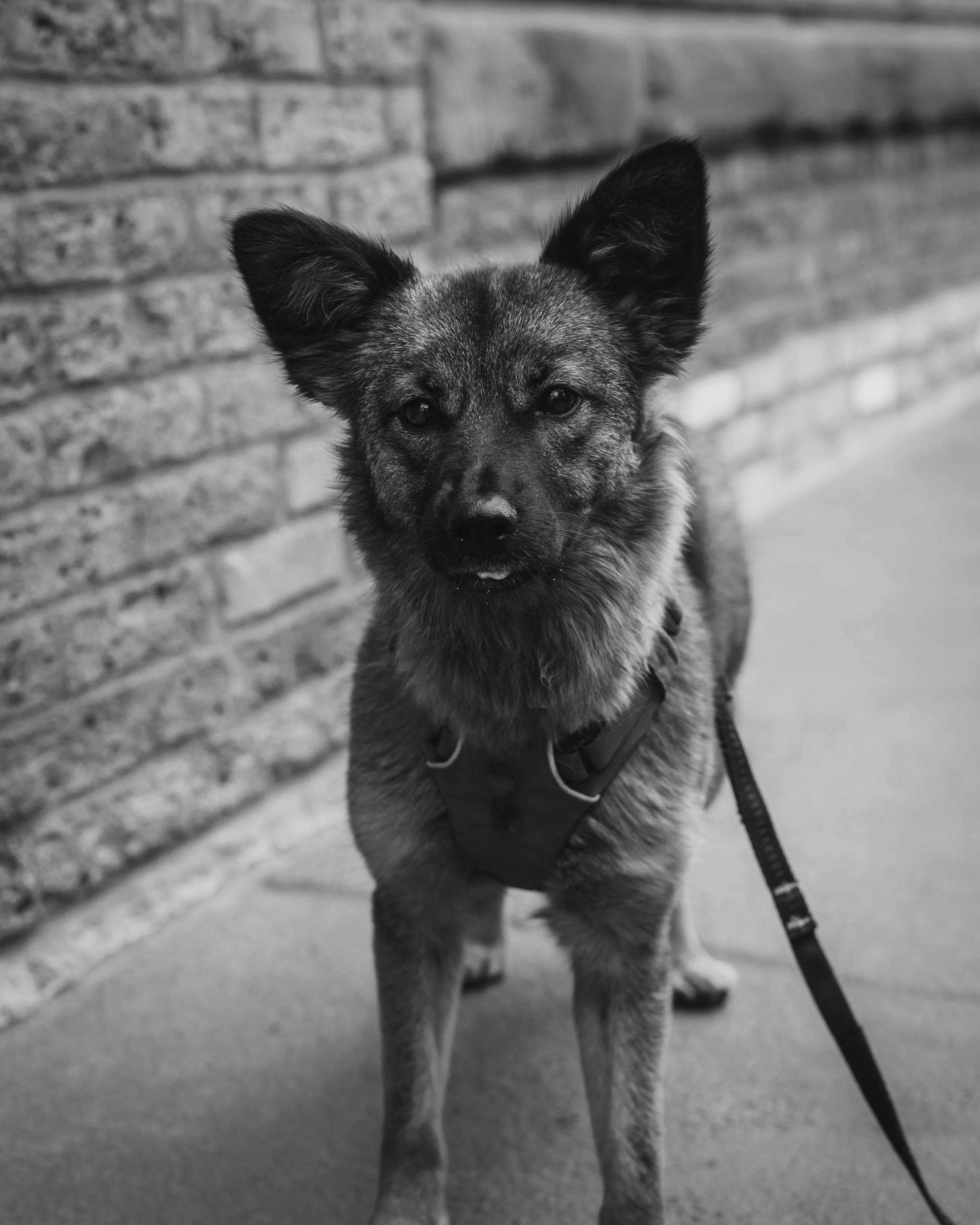 180818_LILLY_10.jpg